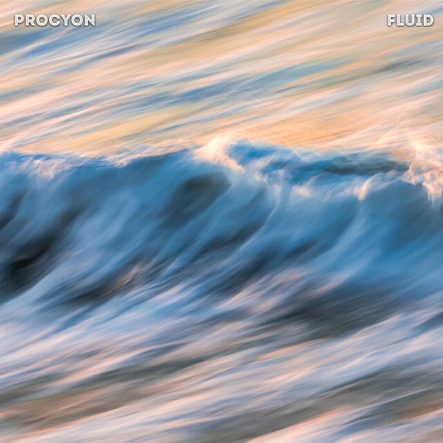 Релиз Fluid