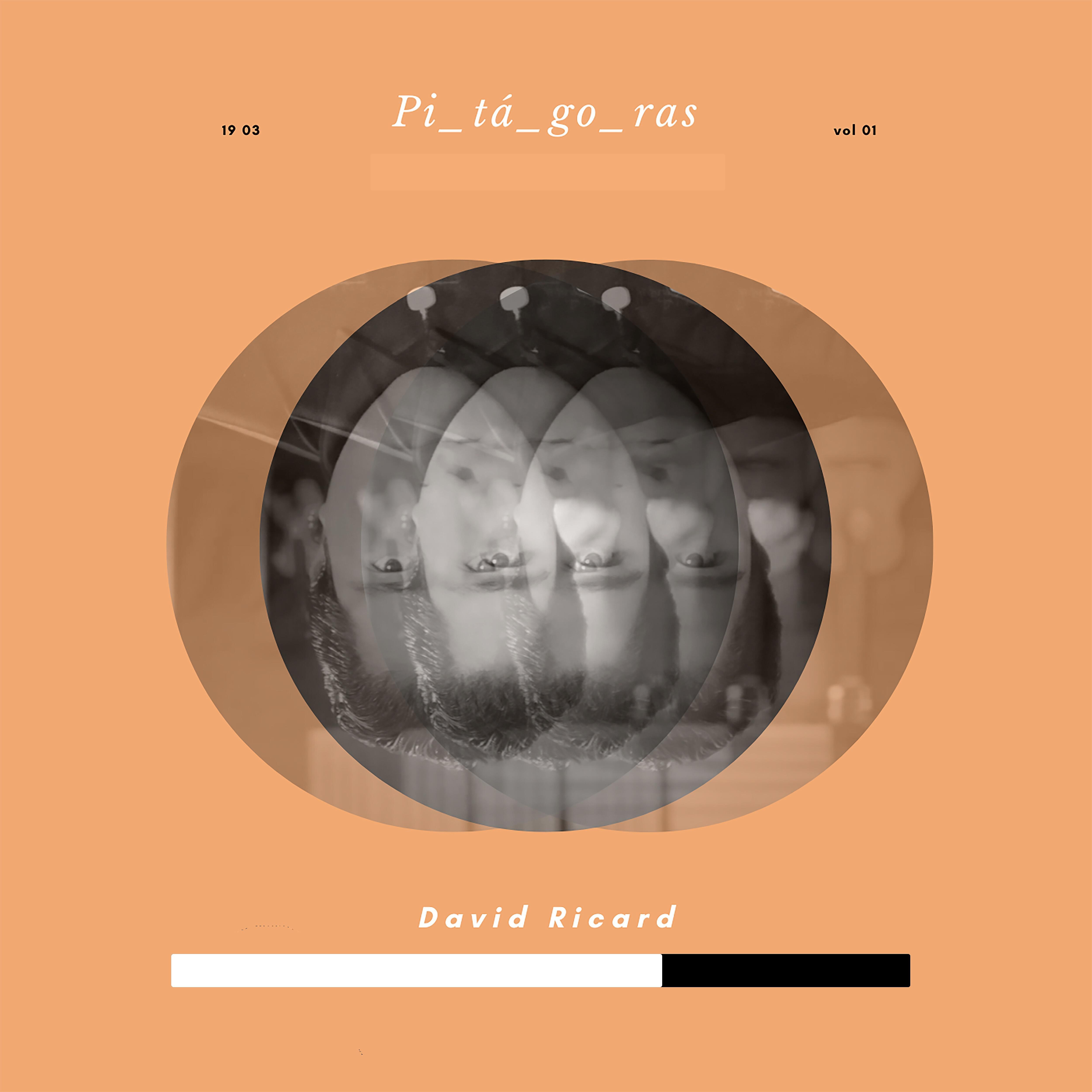 david ricard