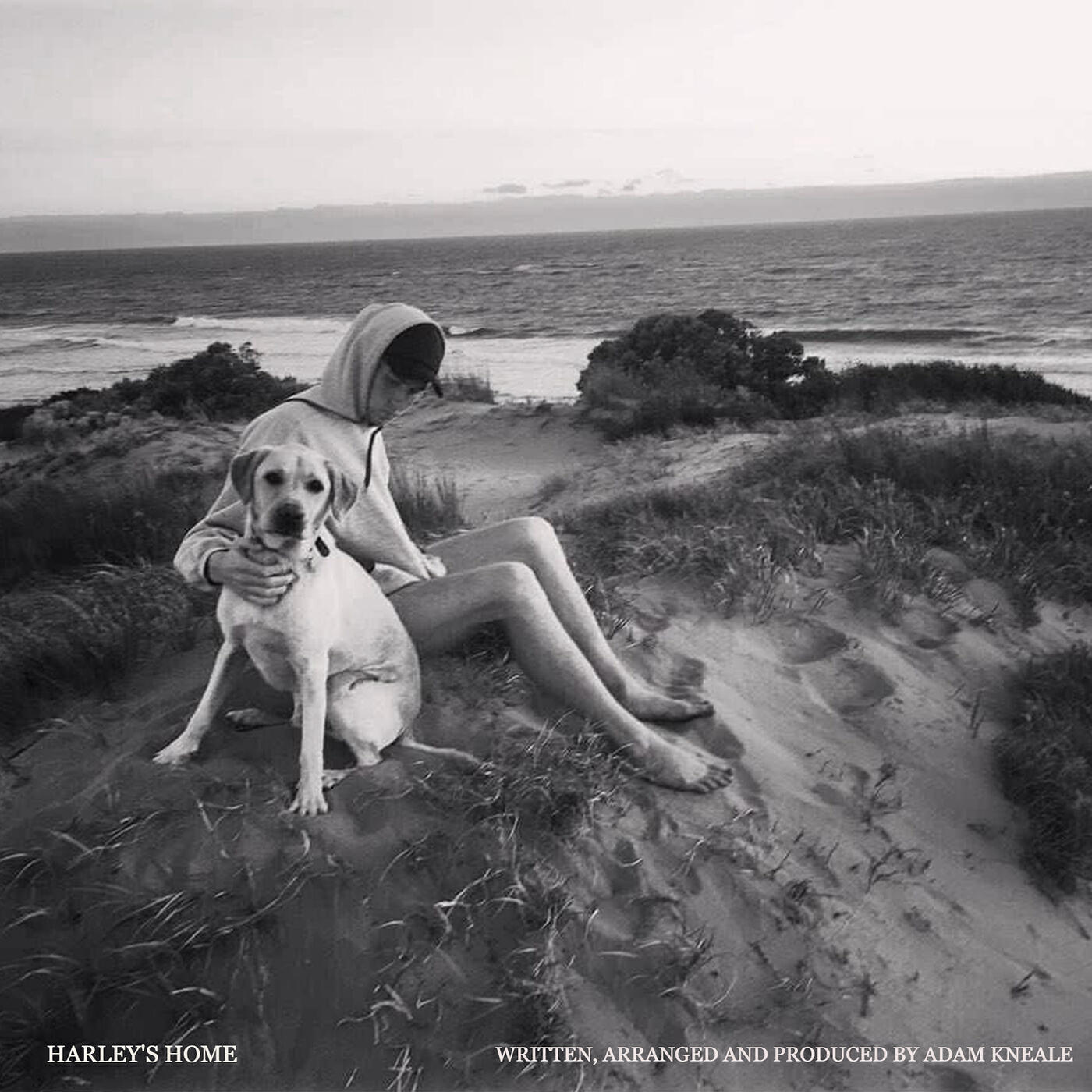 Релиз Harley's Home