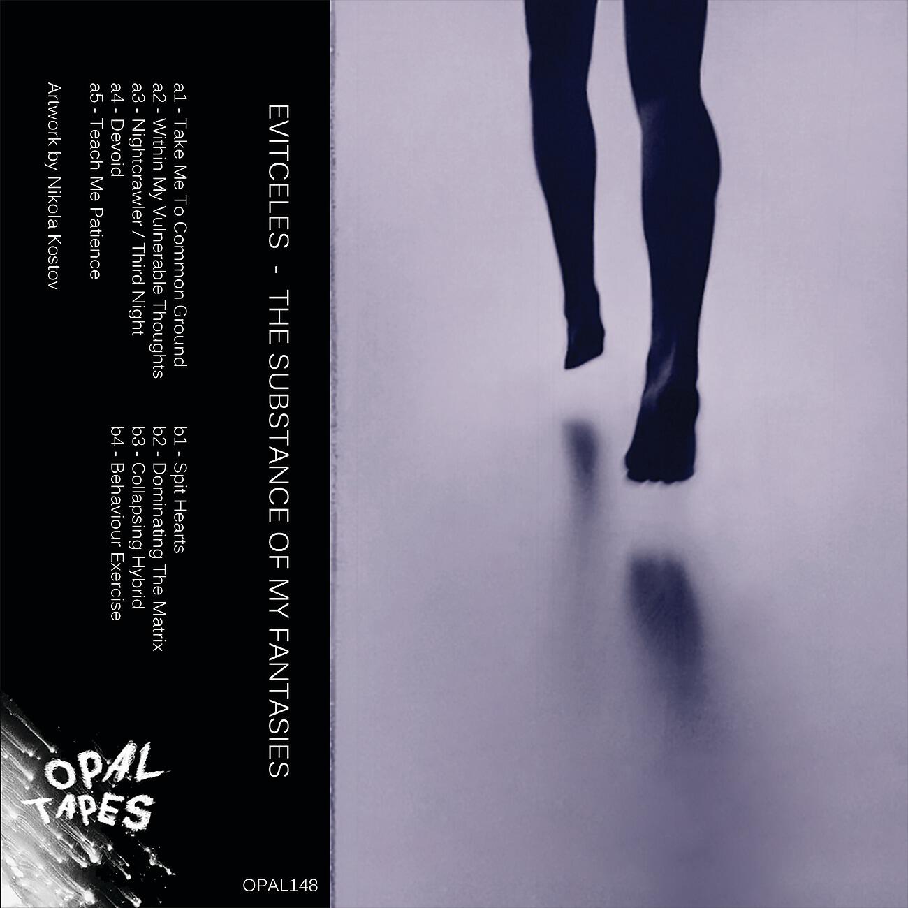 Релиз The Substance of my Fantasies