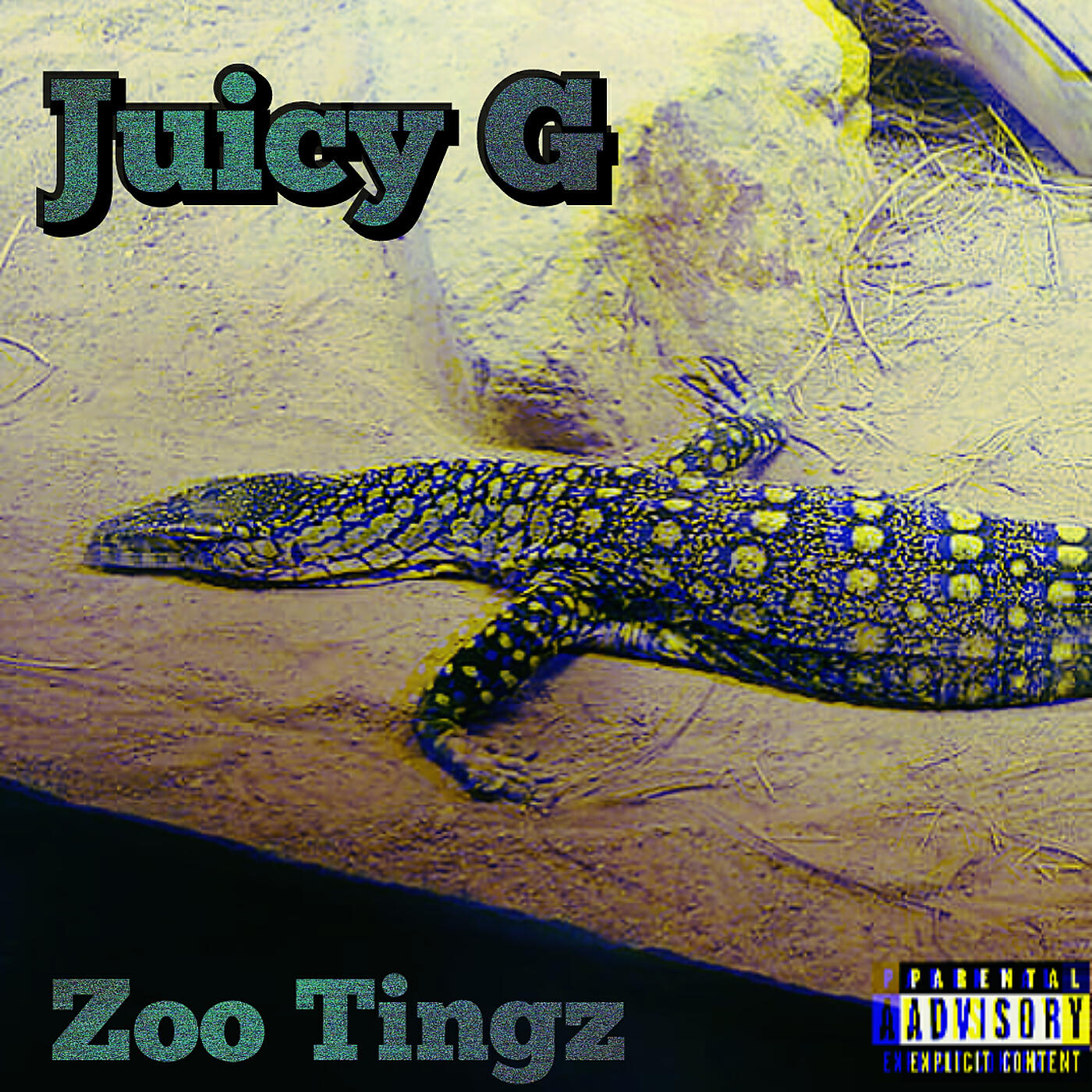 Релиз Zoo Tingz