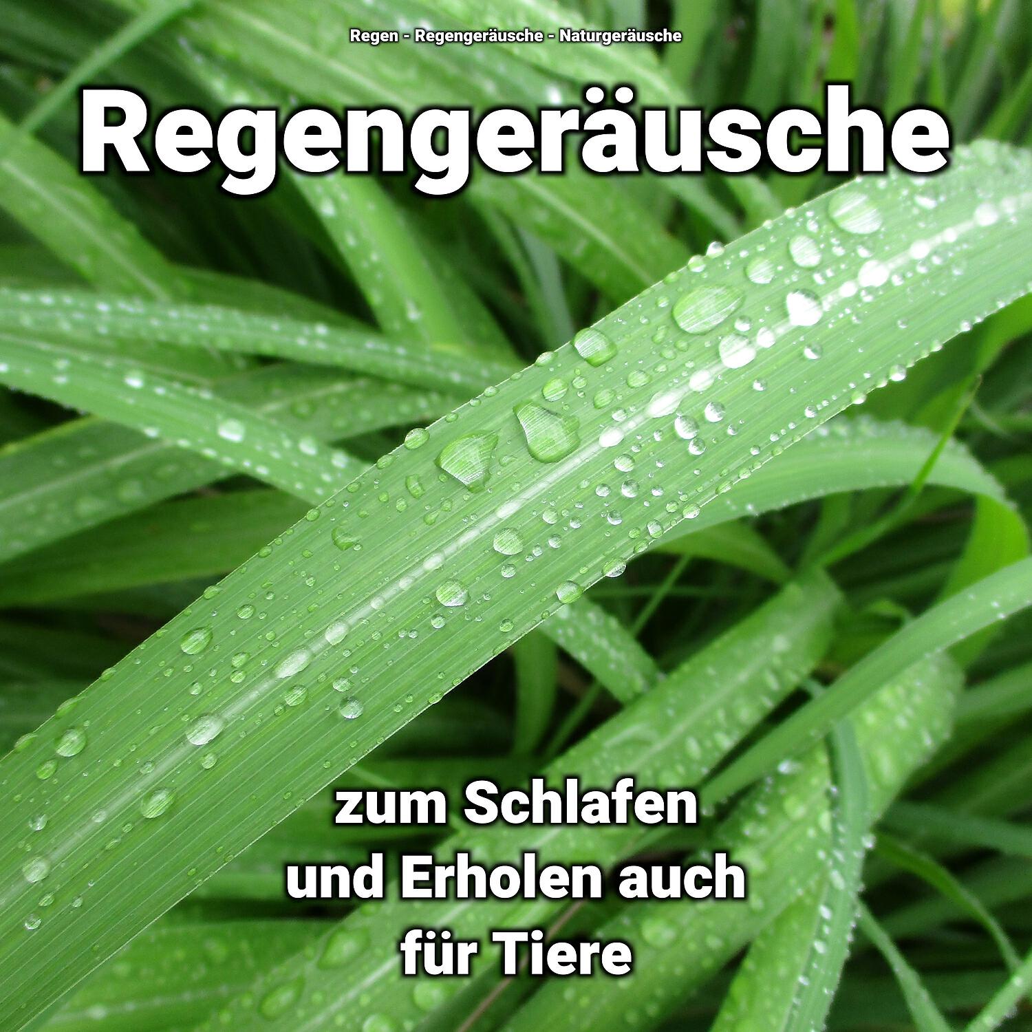 Релиз Regengeräusche zum Schlafen und Erholen auch für Tiere