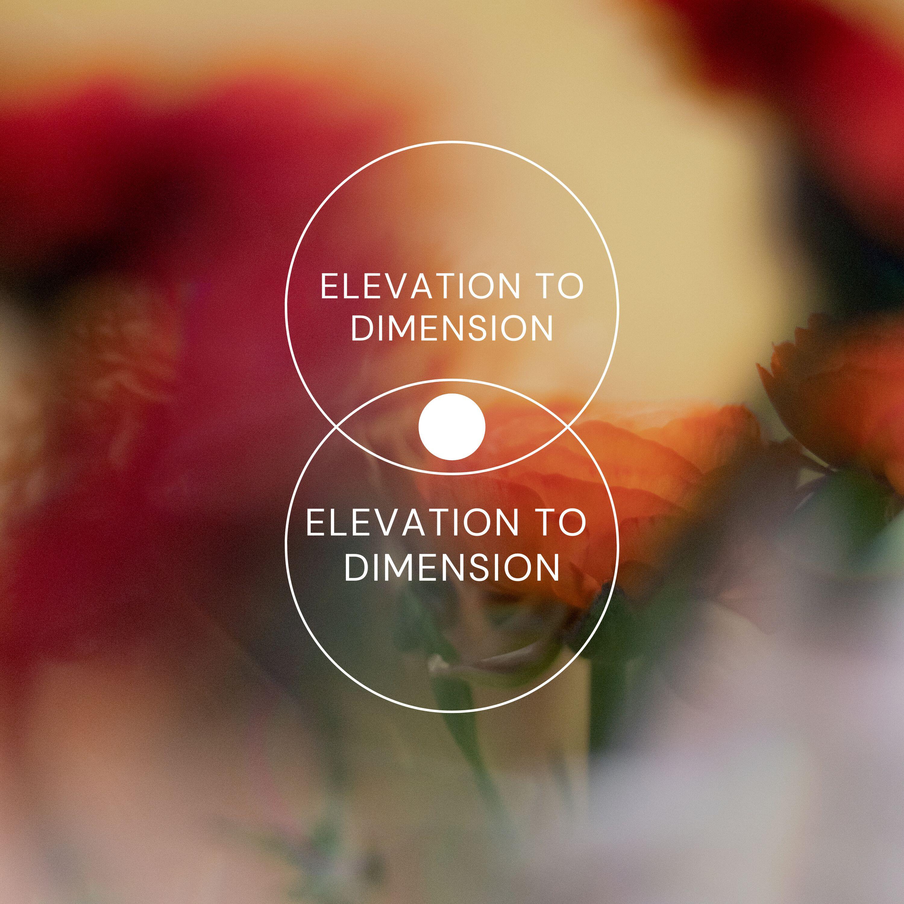 Релиз Elevation to Dimension