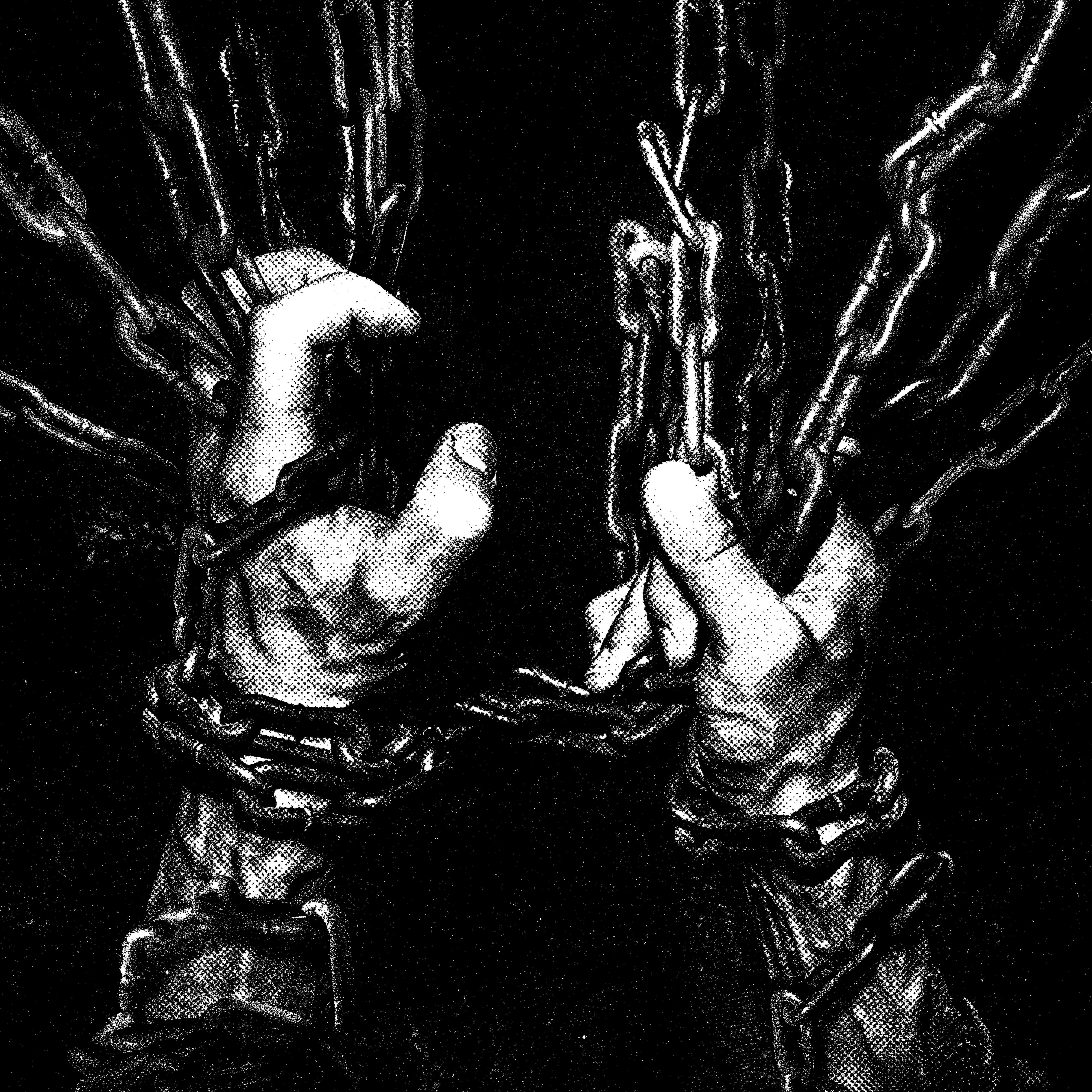 Релиз Within The Viscera