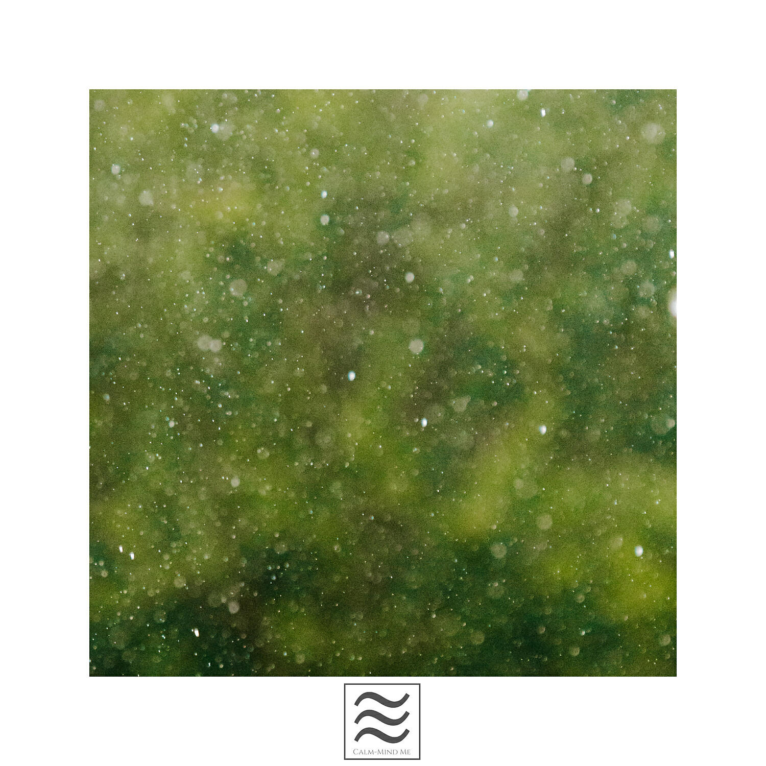 Релиз Raining Dreamful Sounds