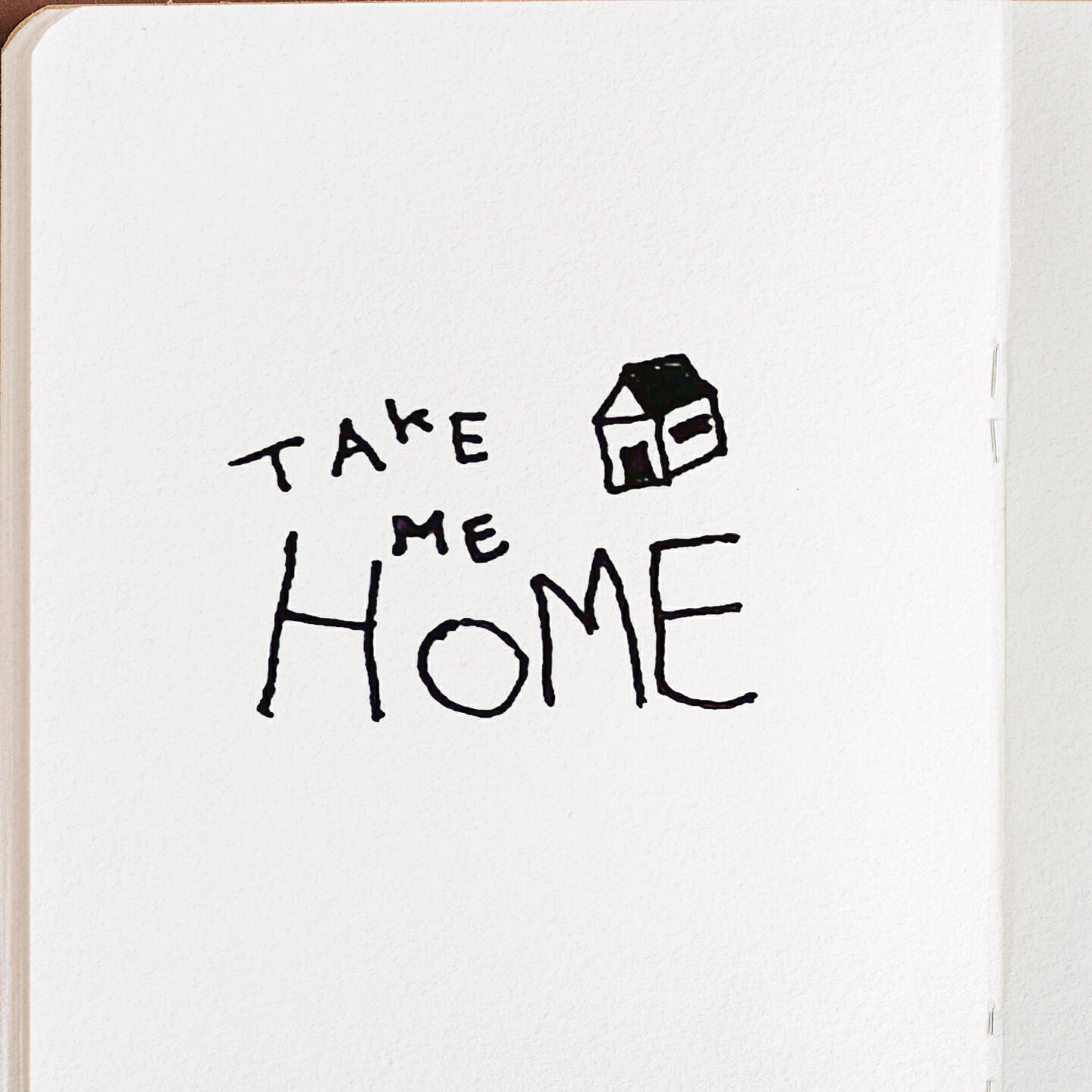 Релиз take me home