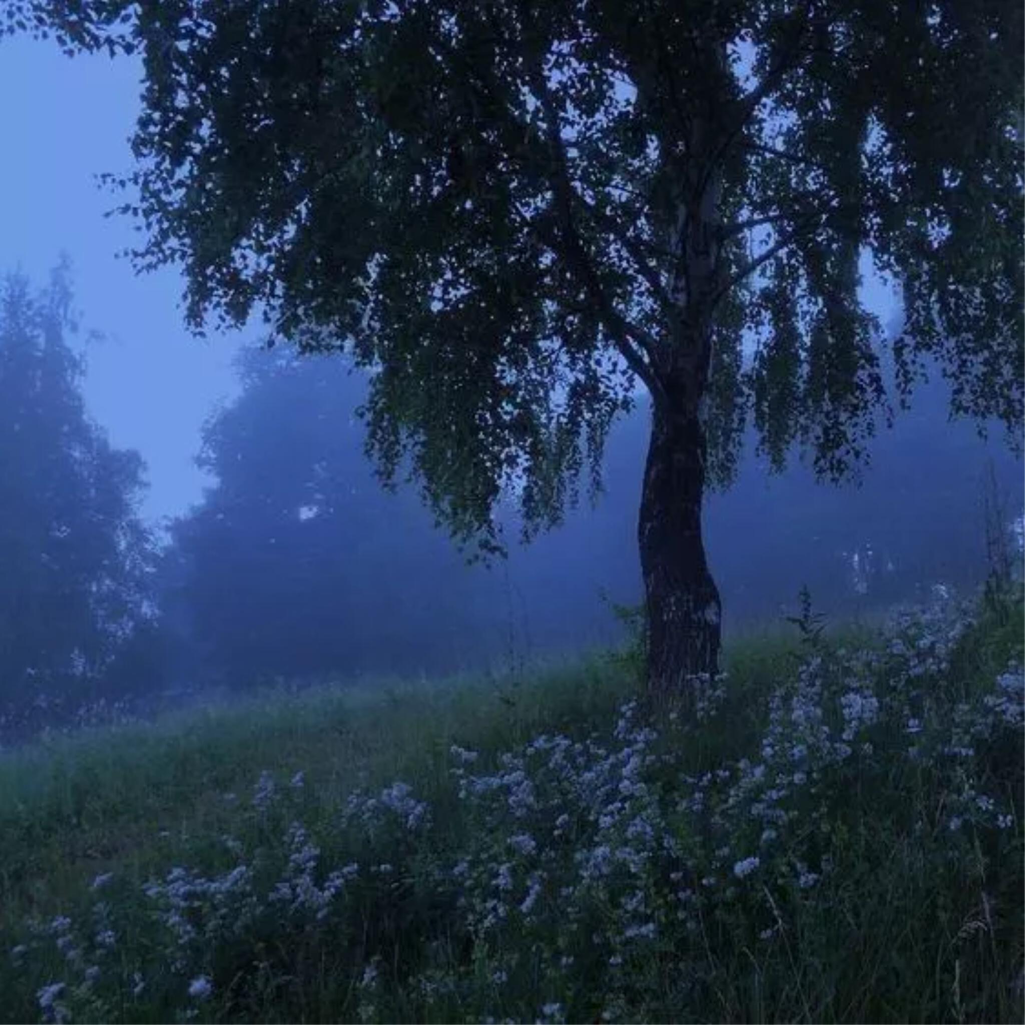Релиз maybe I should let myself go
