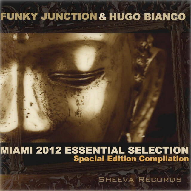 Трек Never Would - Funky Junction Long string Mix