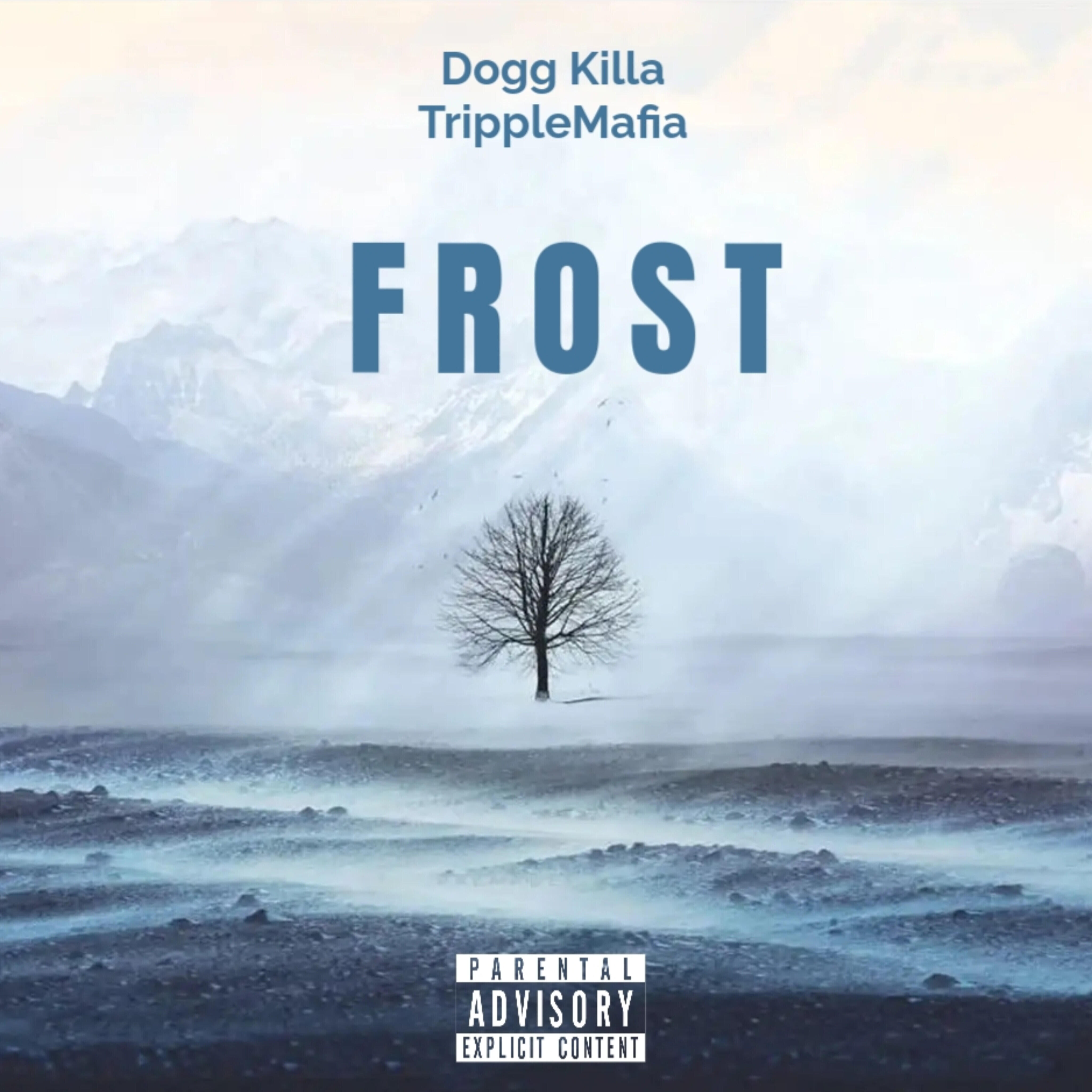 Релиз Frost