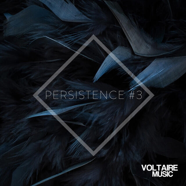 Релиз Voltaire Music Pres. Persistence #3