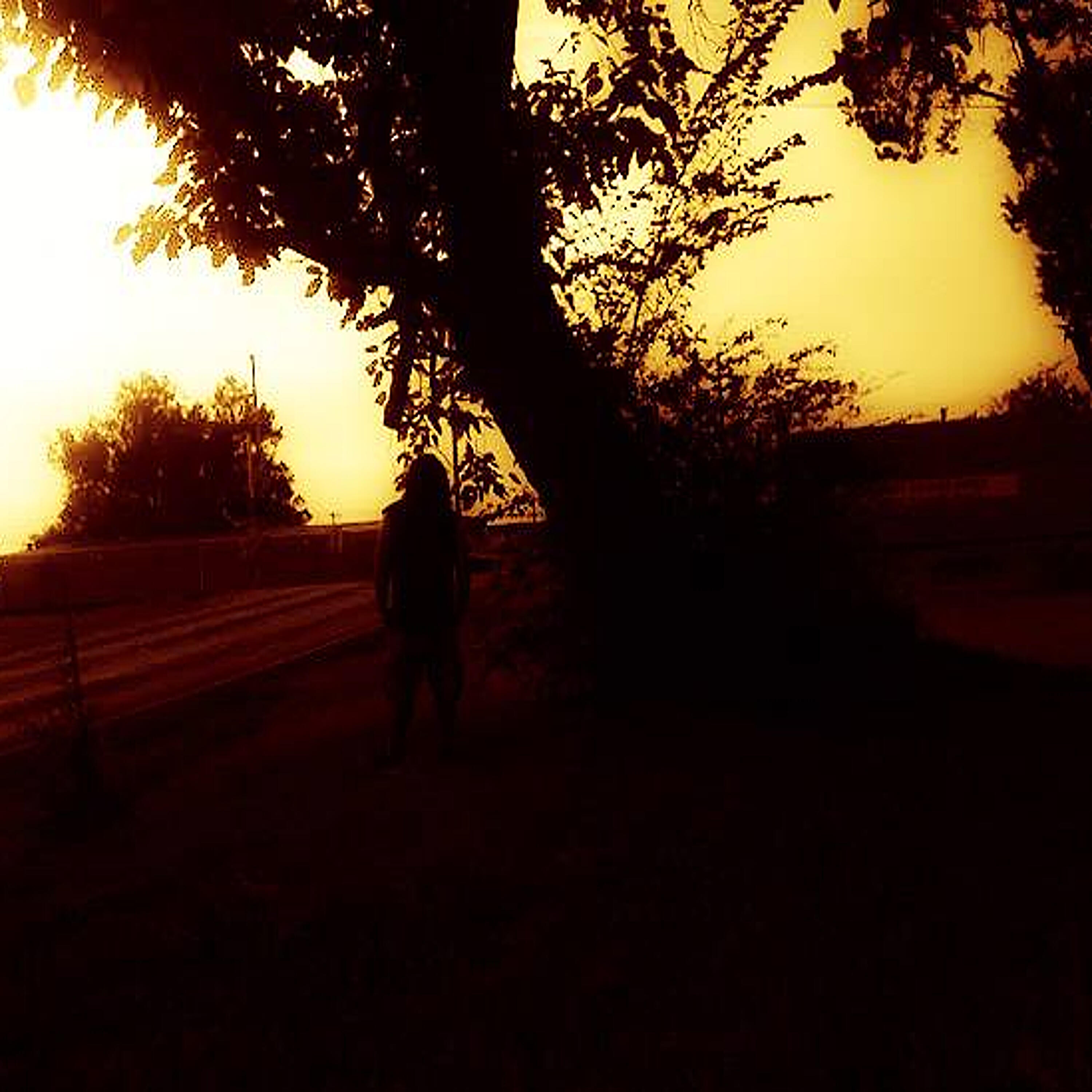 Релиз Forgotten Hymns and Wasted Prayers