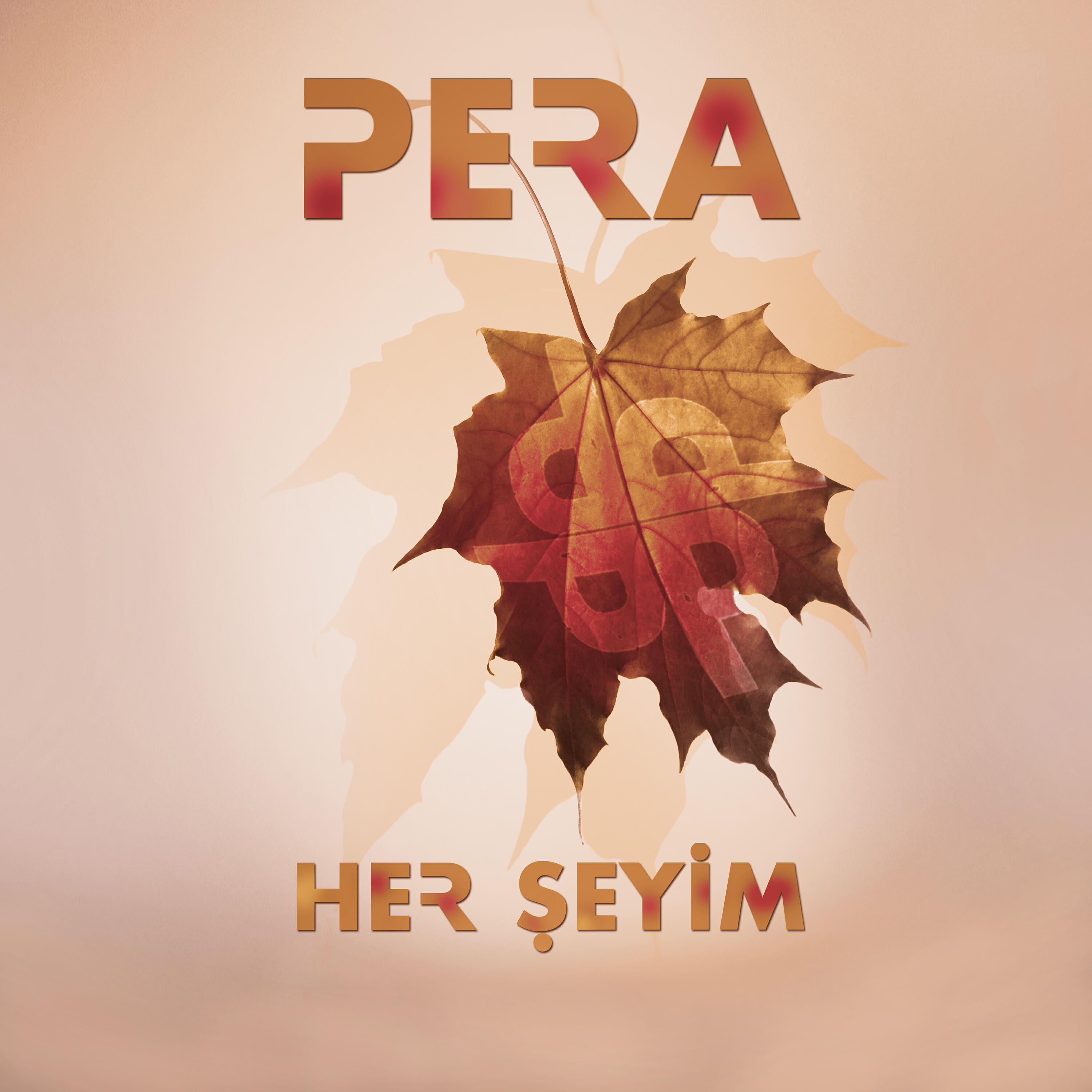 Релиз Her Şeyim