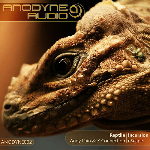 Andy Pain & Z Connection / nScape
