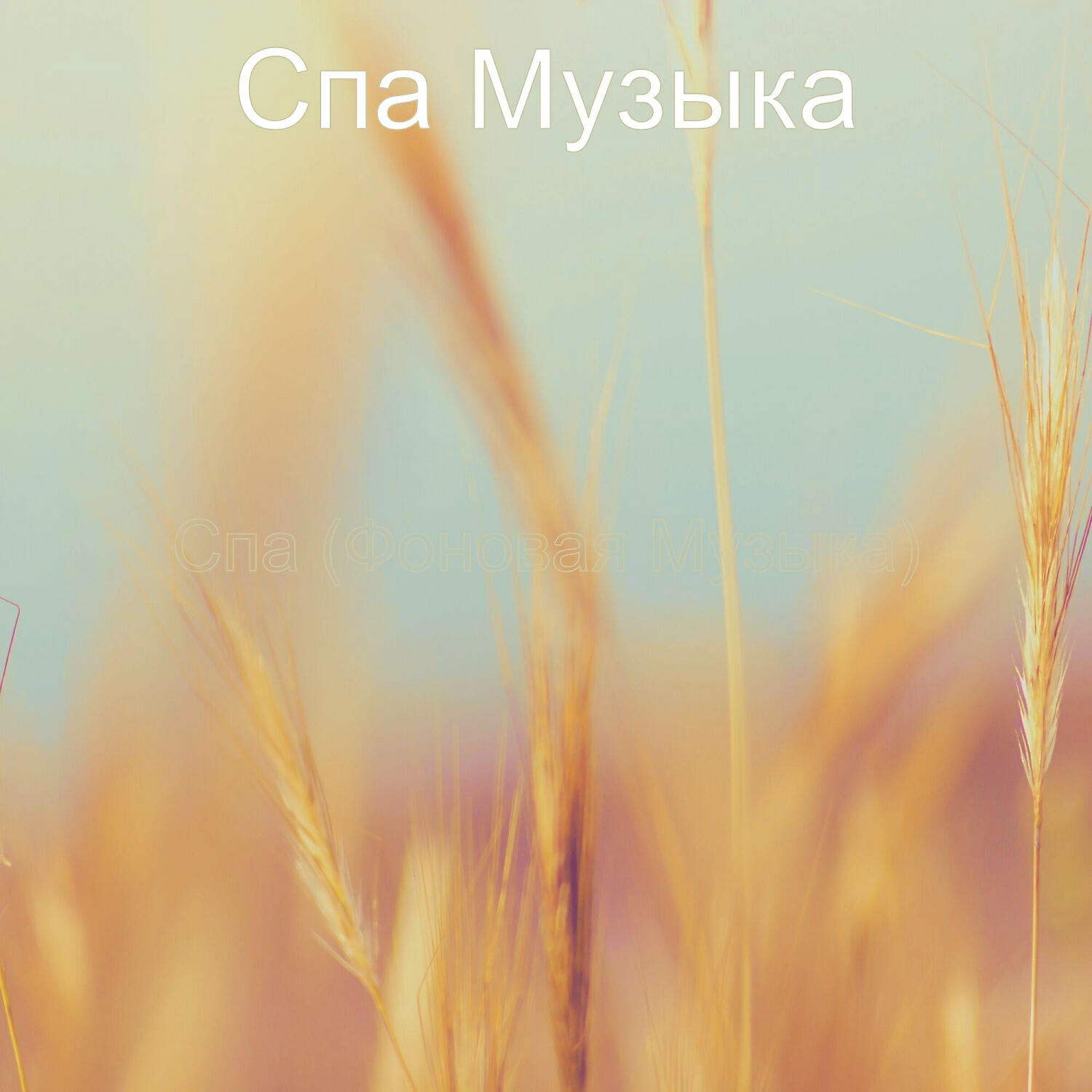 Обложка альбома