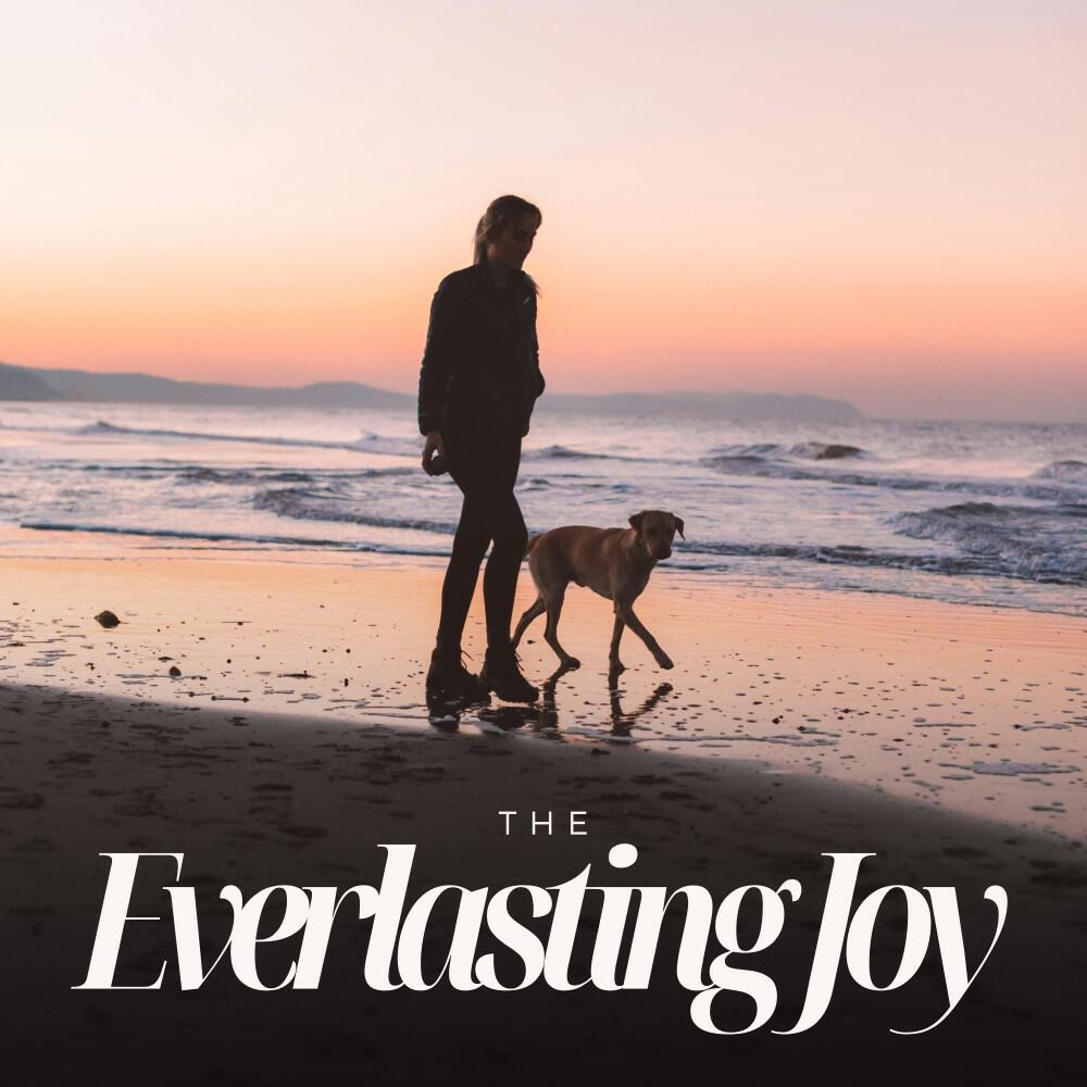 Релиз The Everlasting Joy