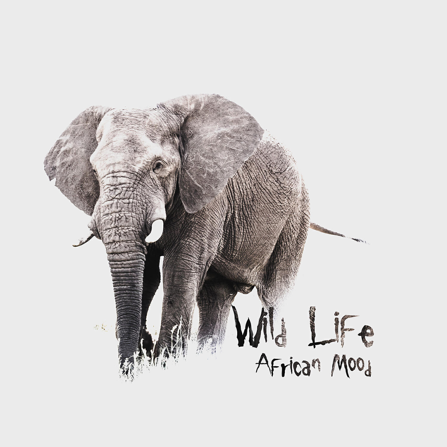 Релиз Wild Life African Mood: Amazing Relaxation Jungle Sounds