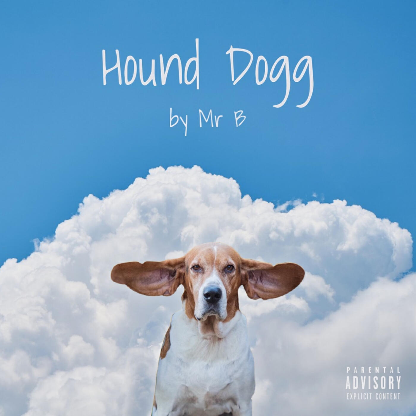 Релиз Hound Dogg