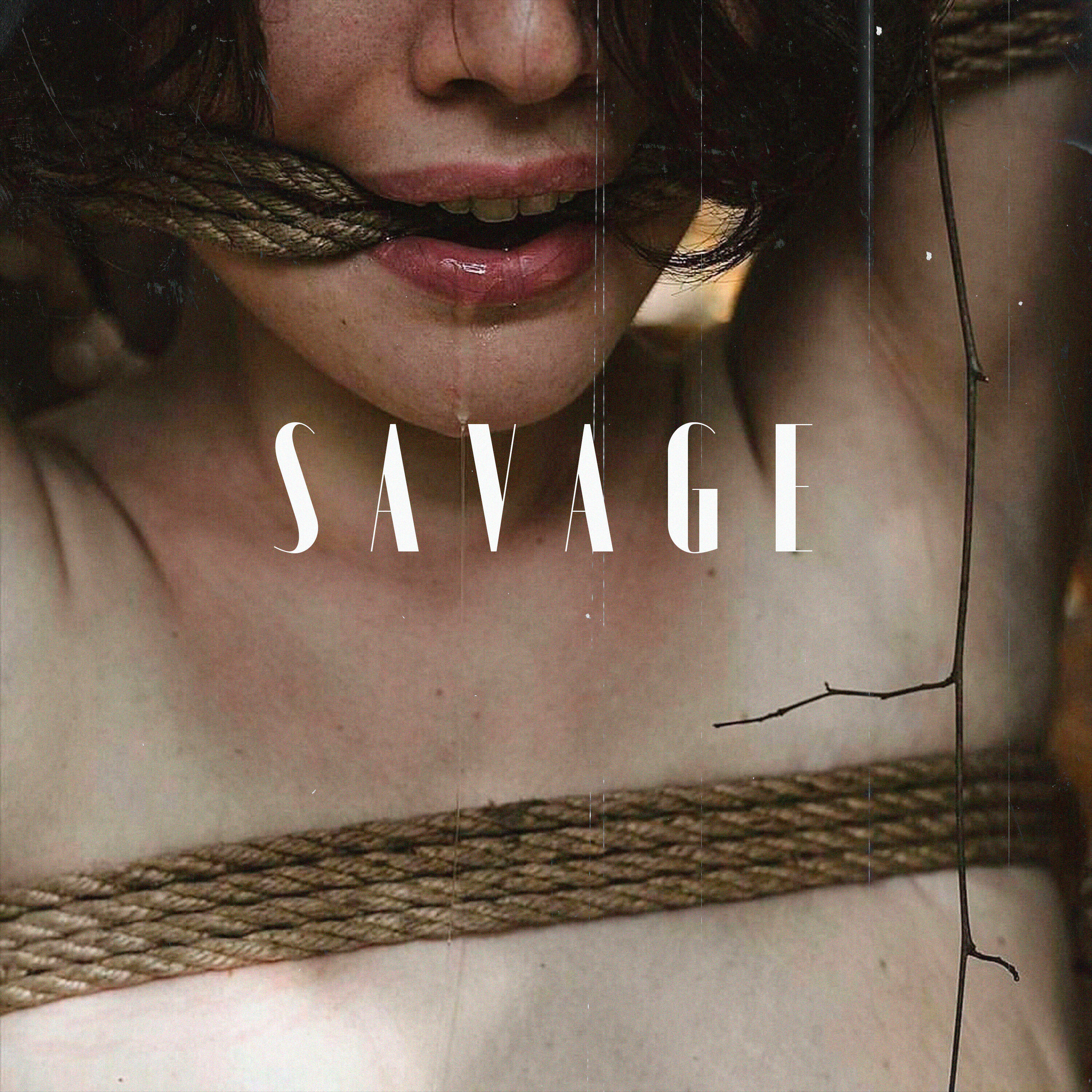 Релиз Savage