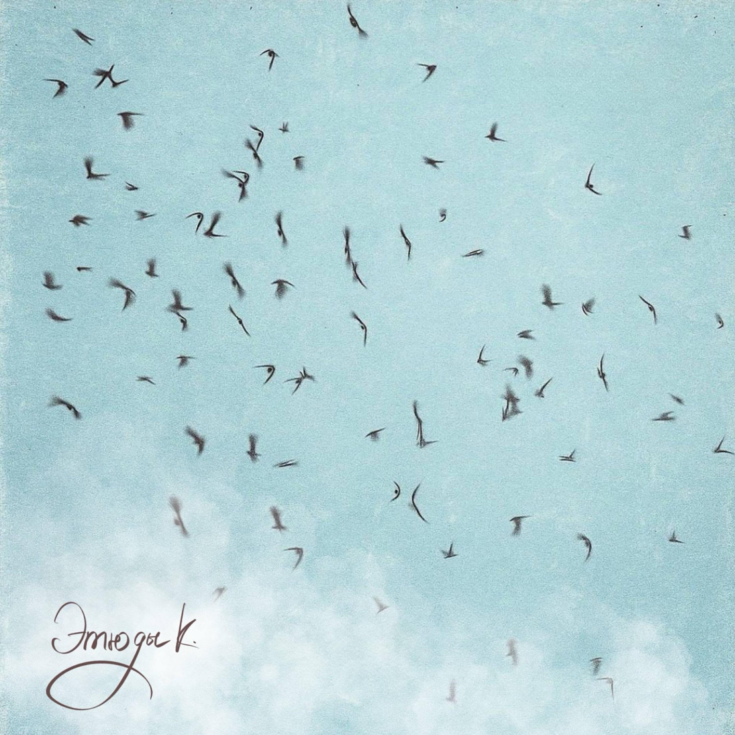 Релиз Этюды К