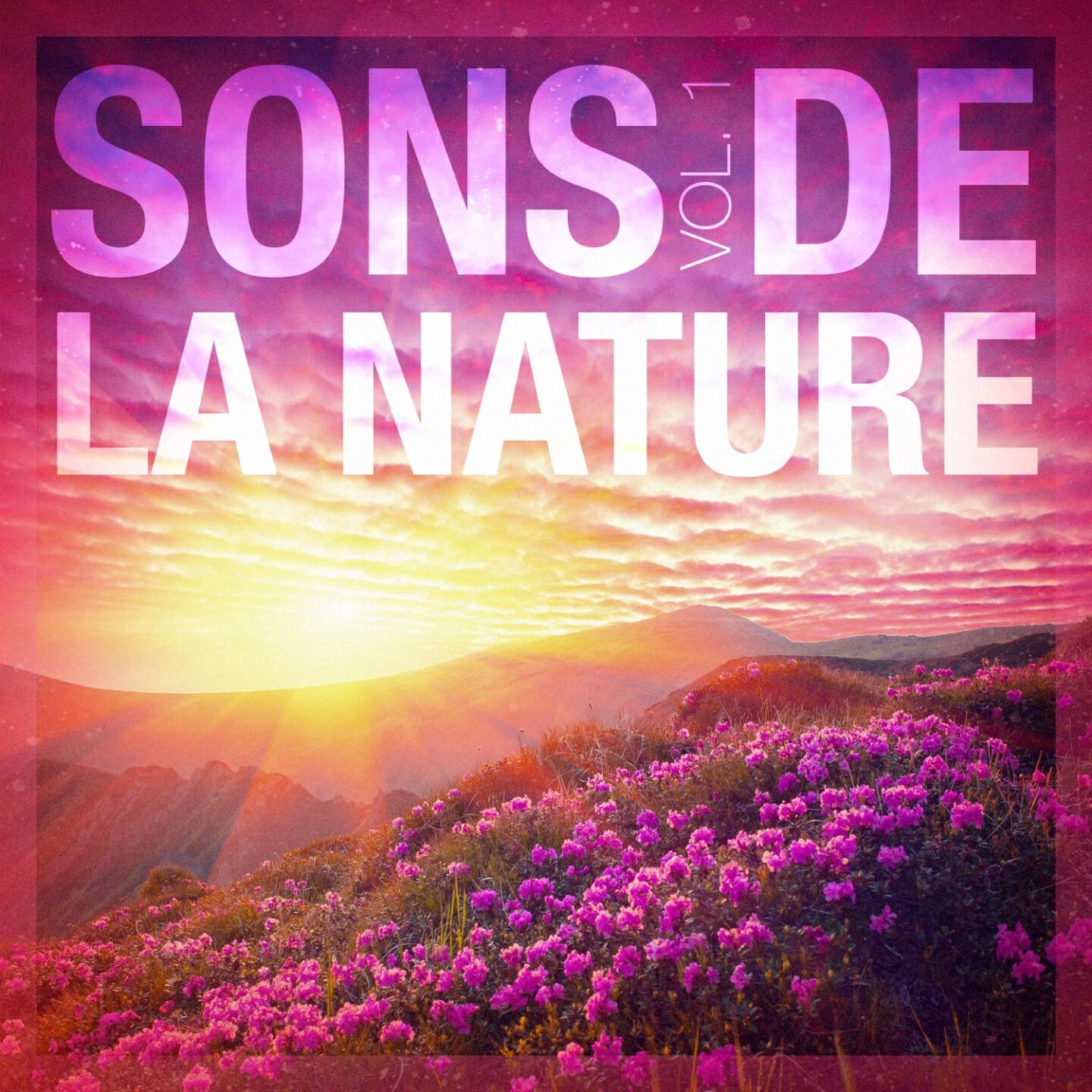 Релиз Sons de la nature, vol. 1