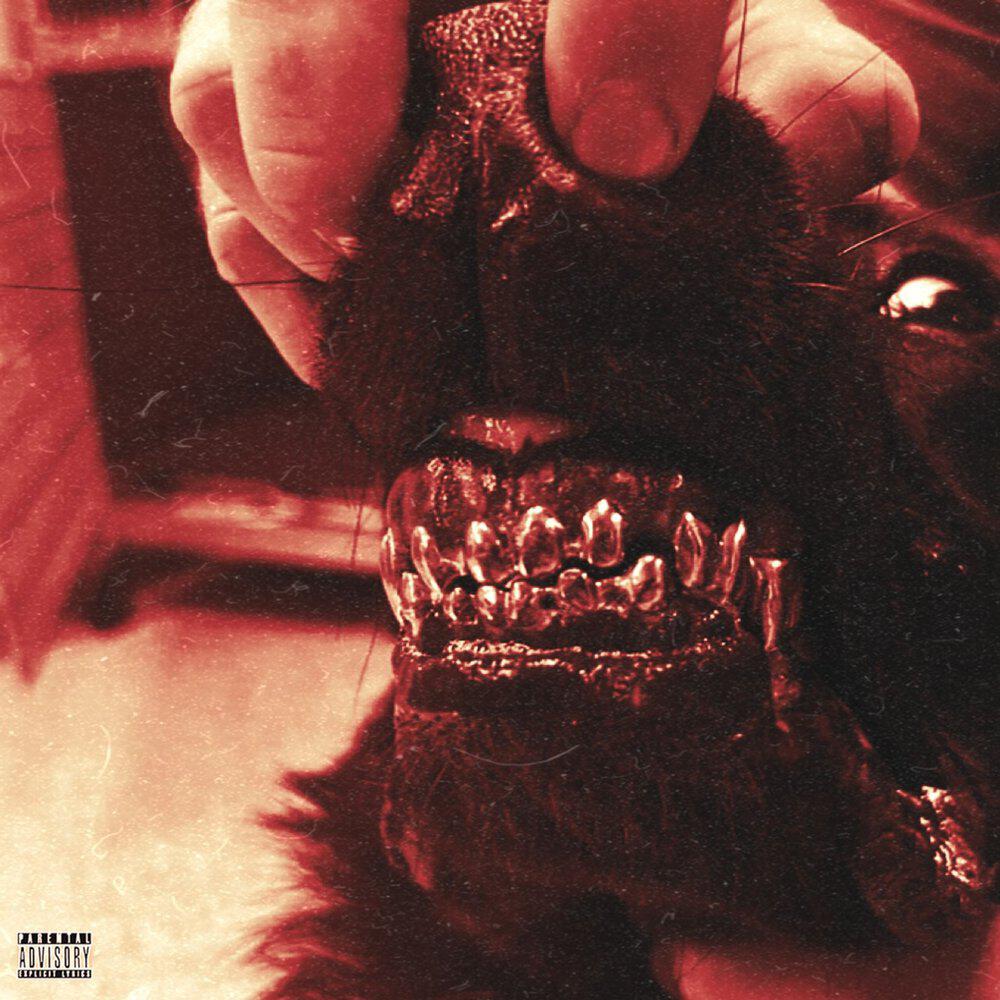 Релиз HUNGRY DOGS