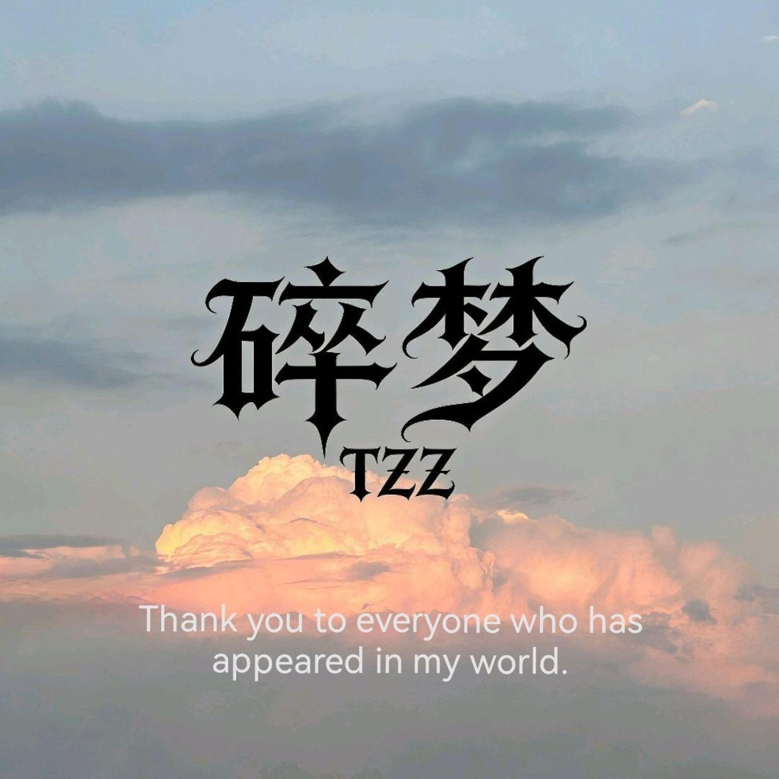 TZZ-N