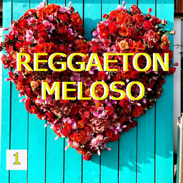 Релиз Reggaeton Meloso Vol. 1
