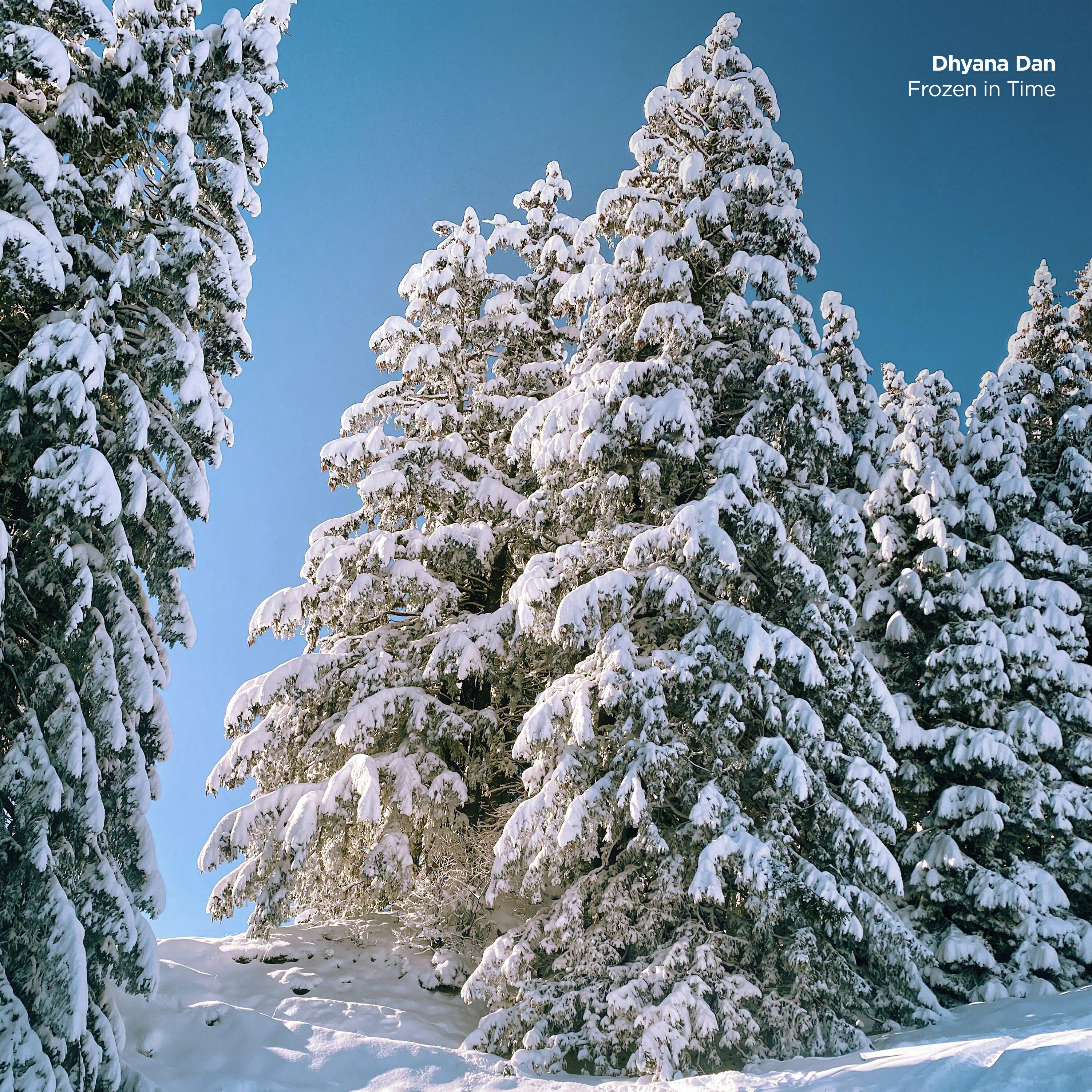 Релиз Frozen in Time