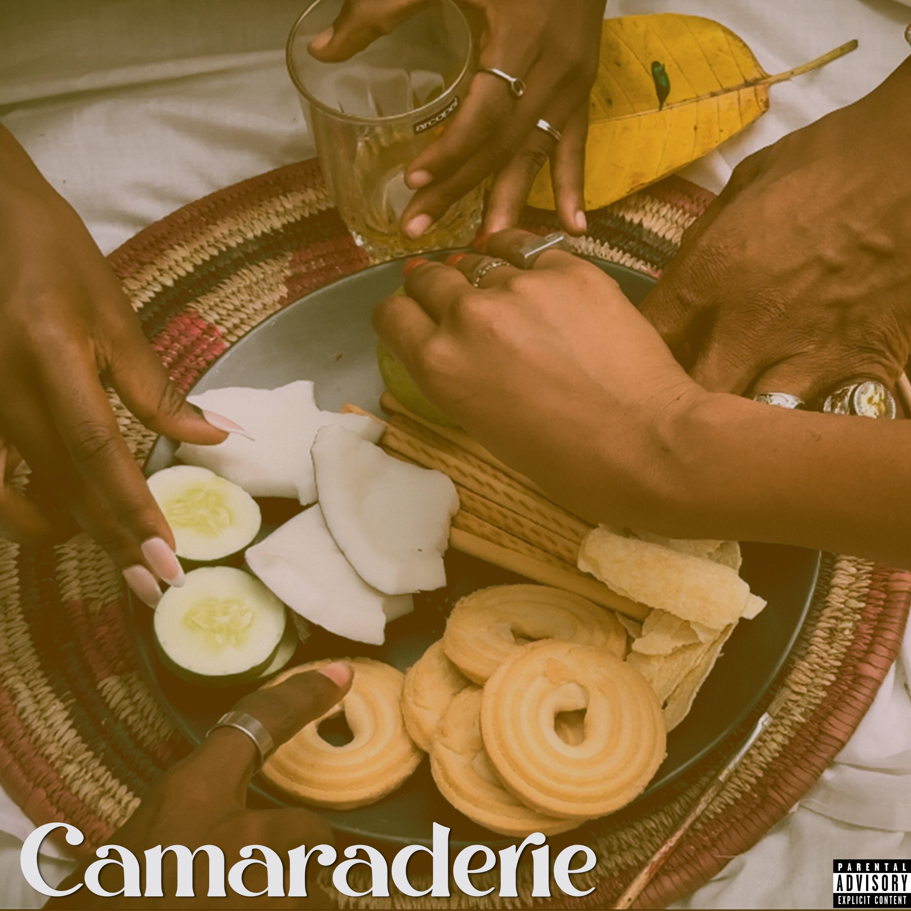 Релиз Camaraderie