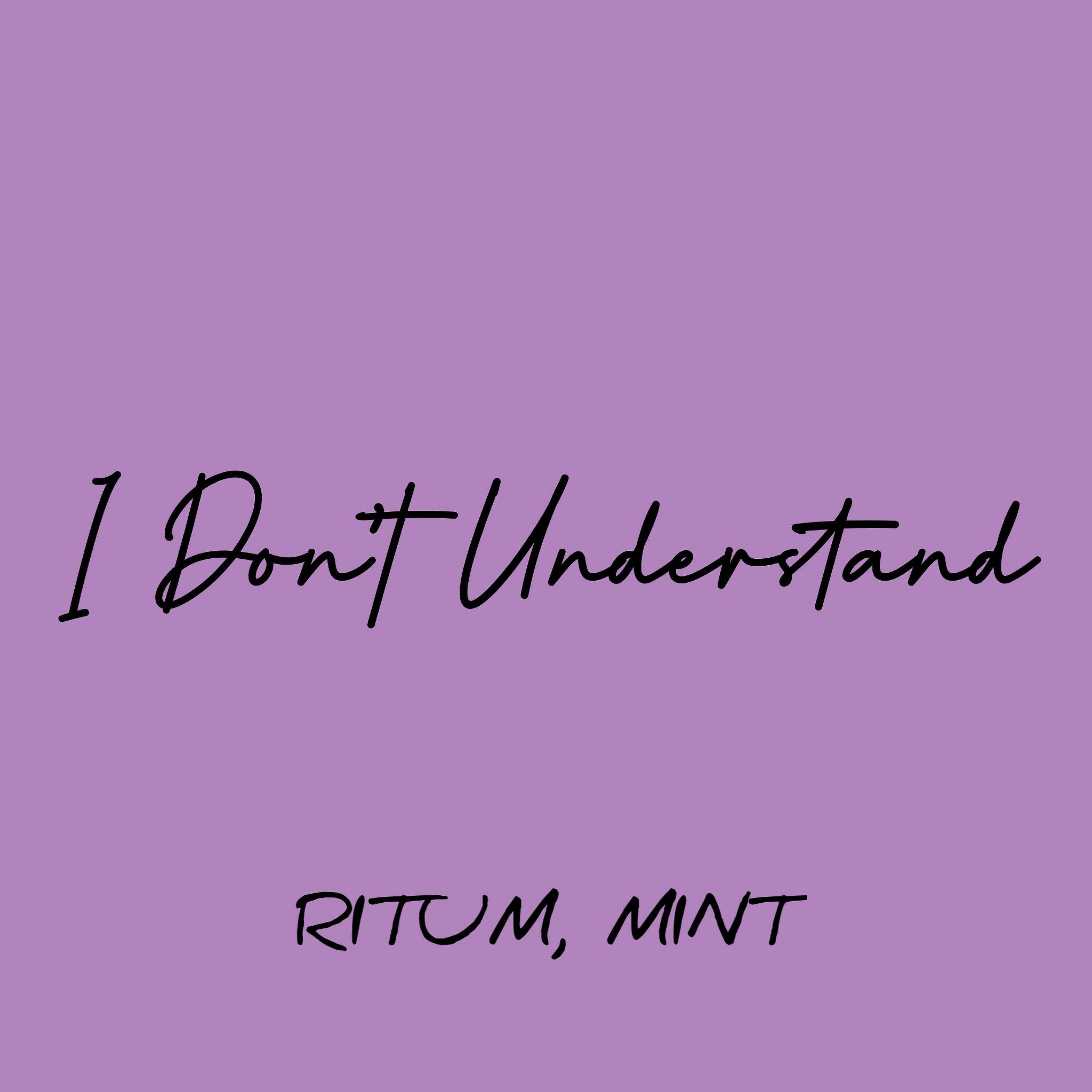 Релиз I Don't Understand