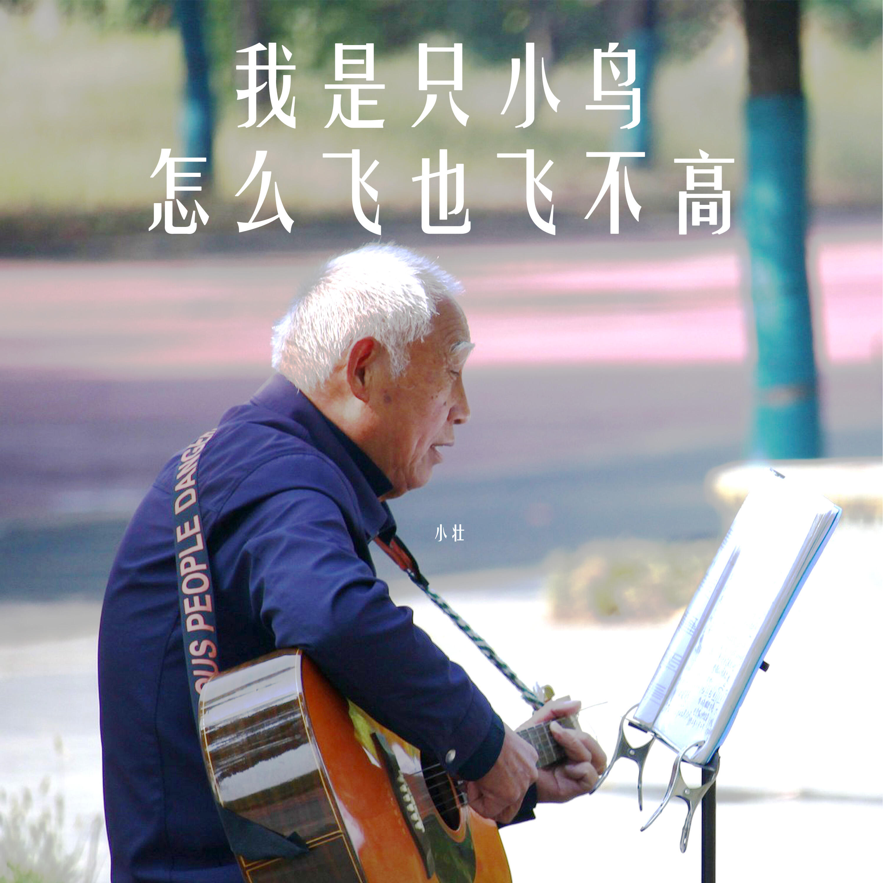 Релиз 我是只小鸟怎么飞也飞不高