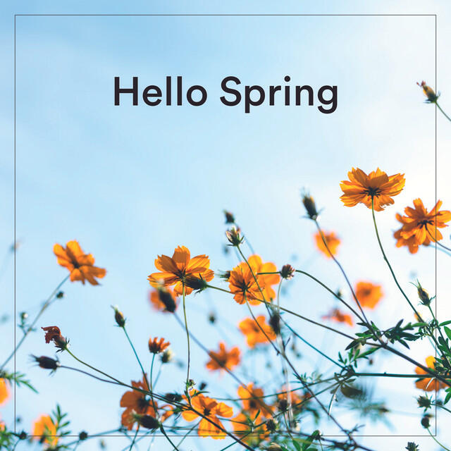 Постер альбома Hello Spring