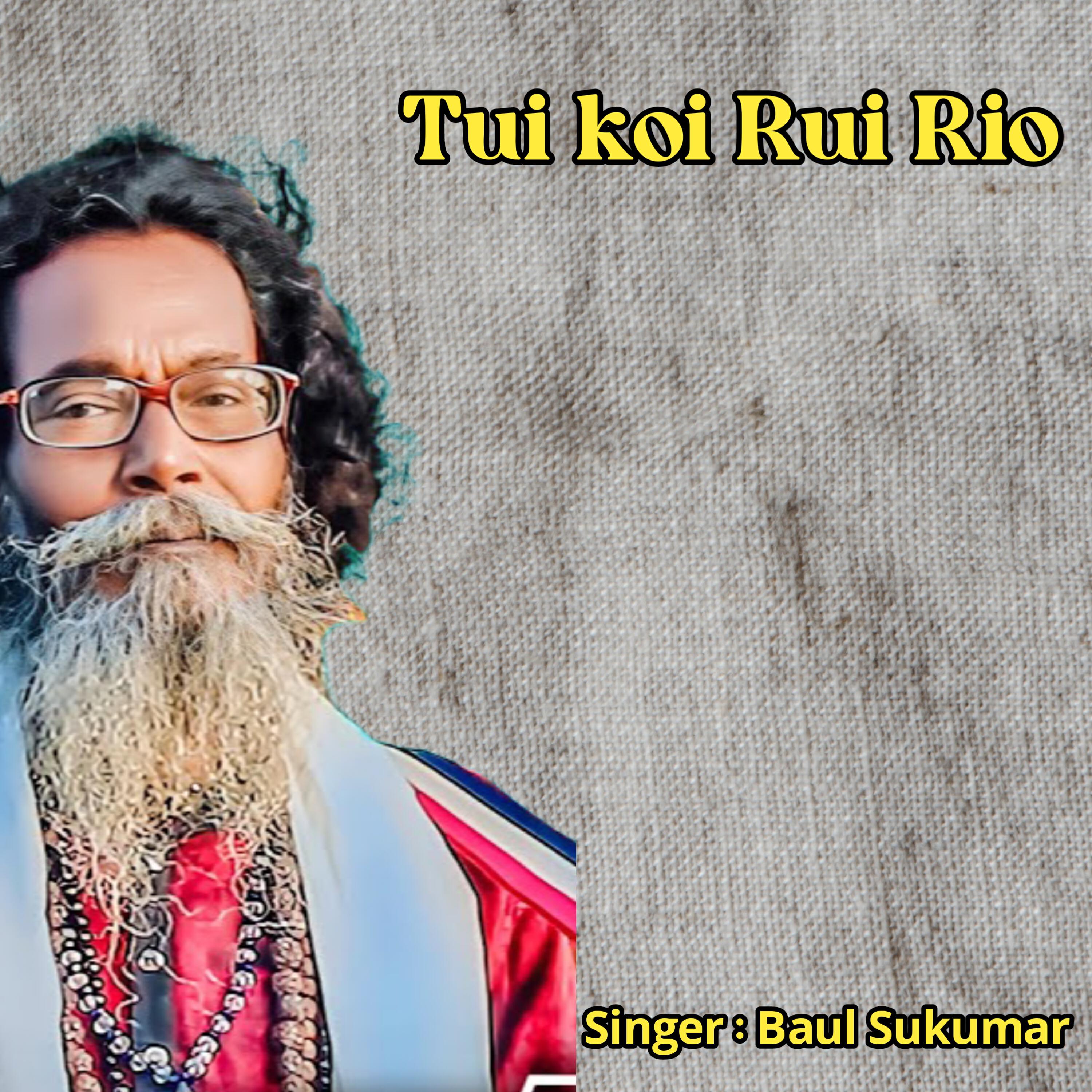 Релиз Tui koi Rui Rio