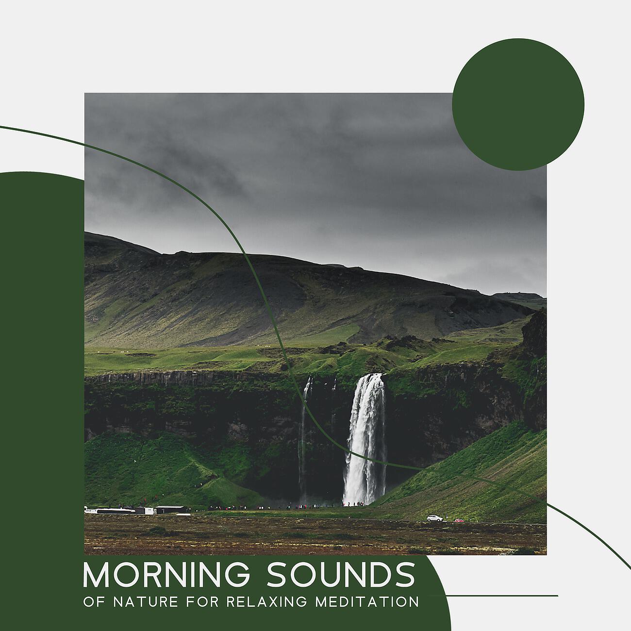 Релиз Morning Sounds of Nature for Relaxing Meditation