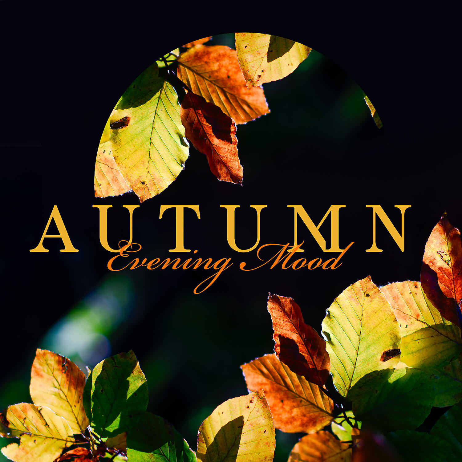 Релиз Autumn Evening Mood – Jazz Music for Pleasant Time, Relaxing Moment and Perfect Meeting