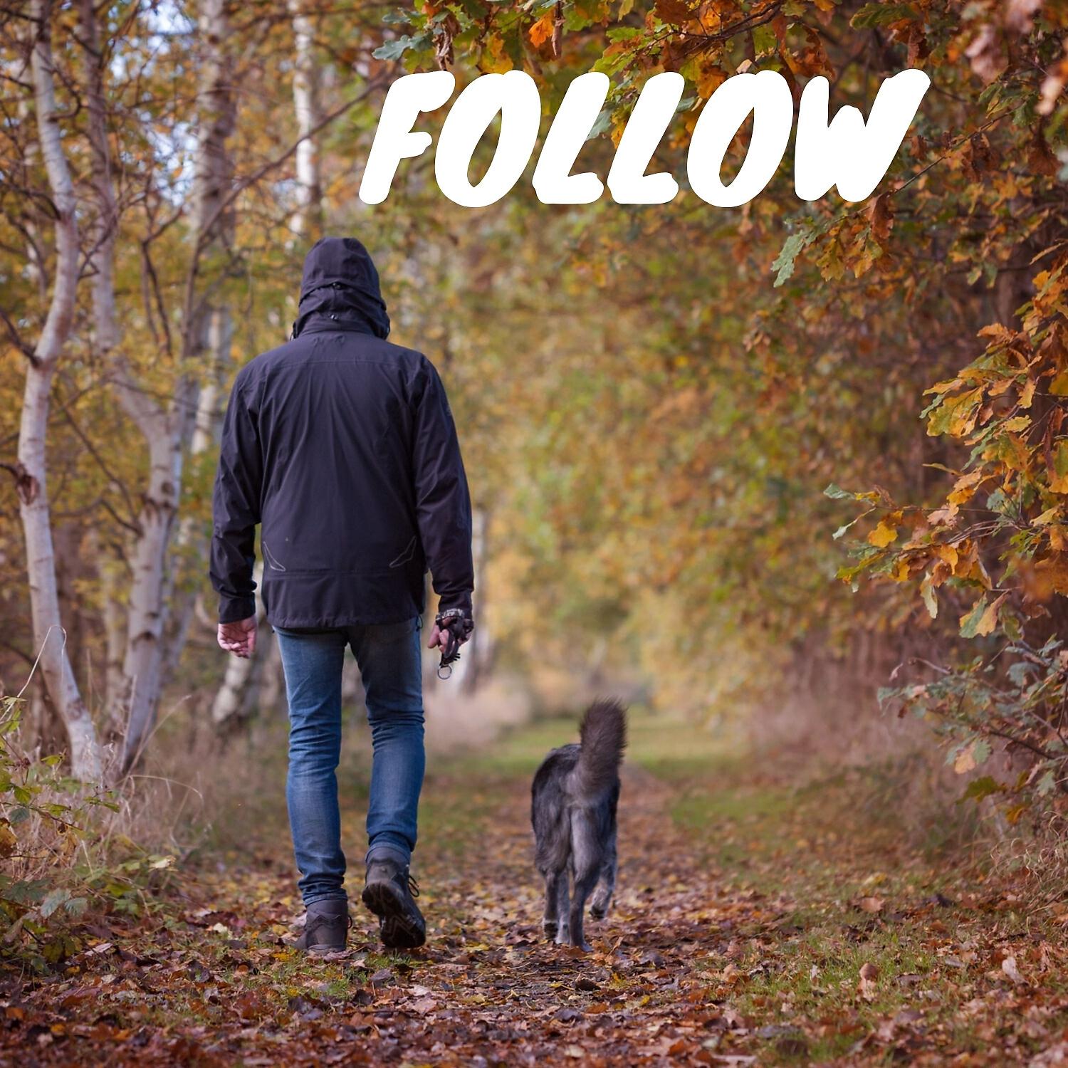 Релиз Follow