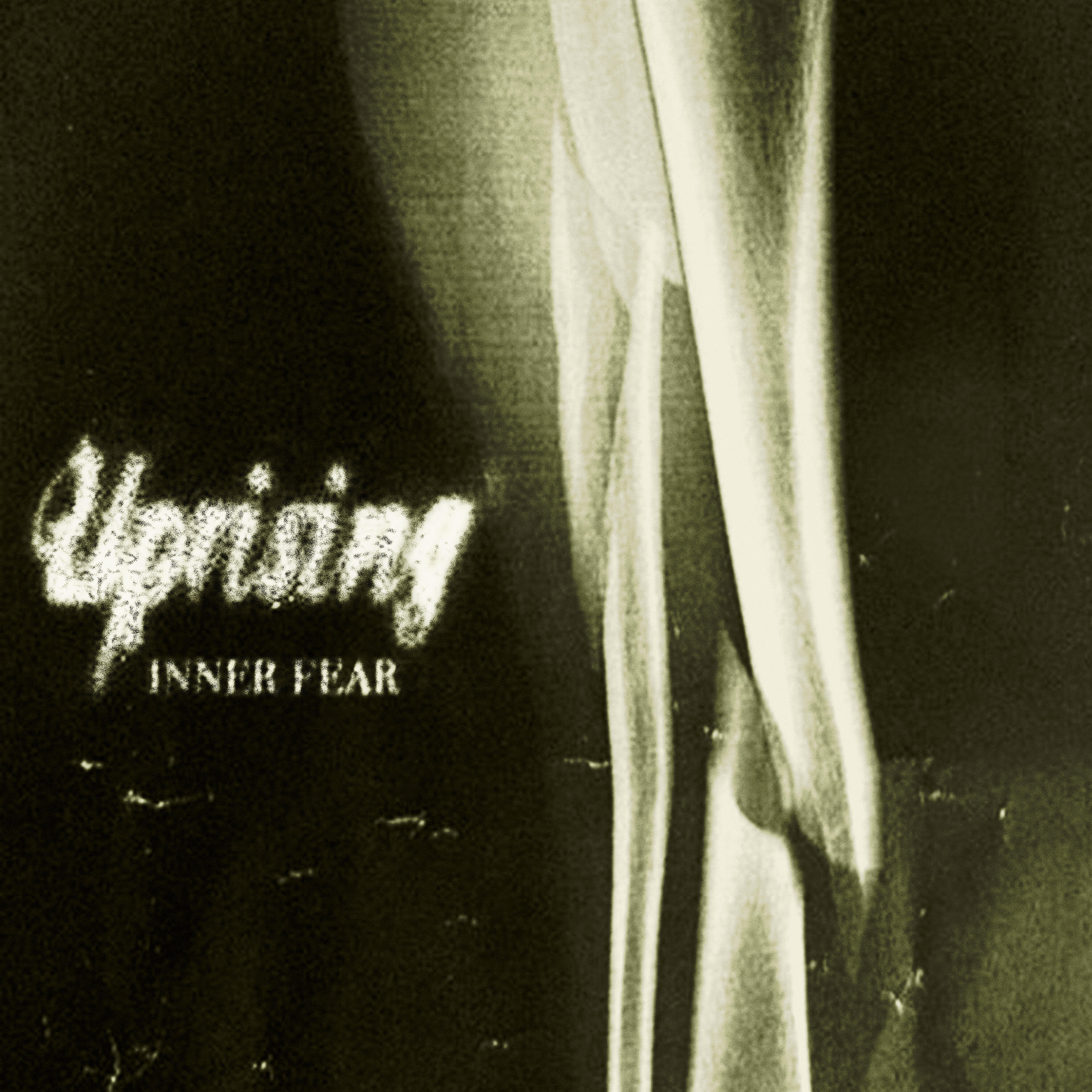 Релиз Inner Fear