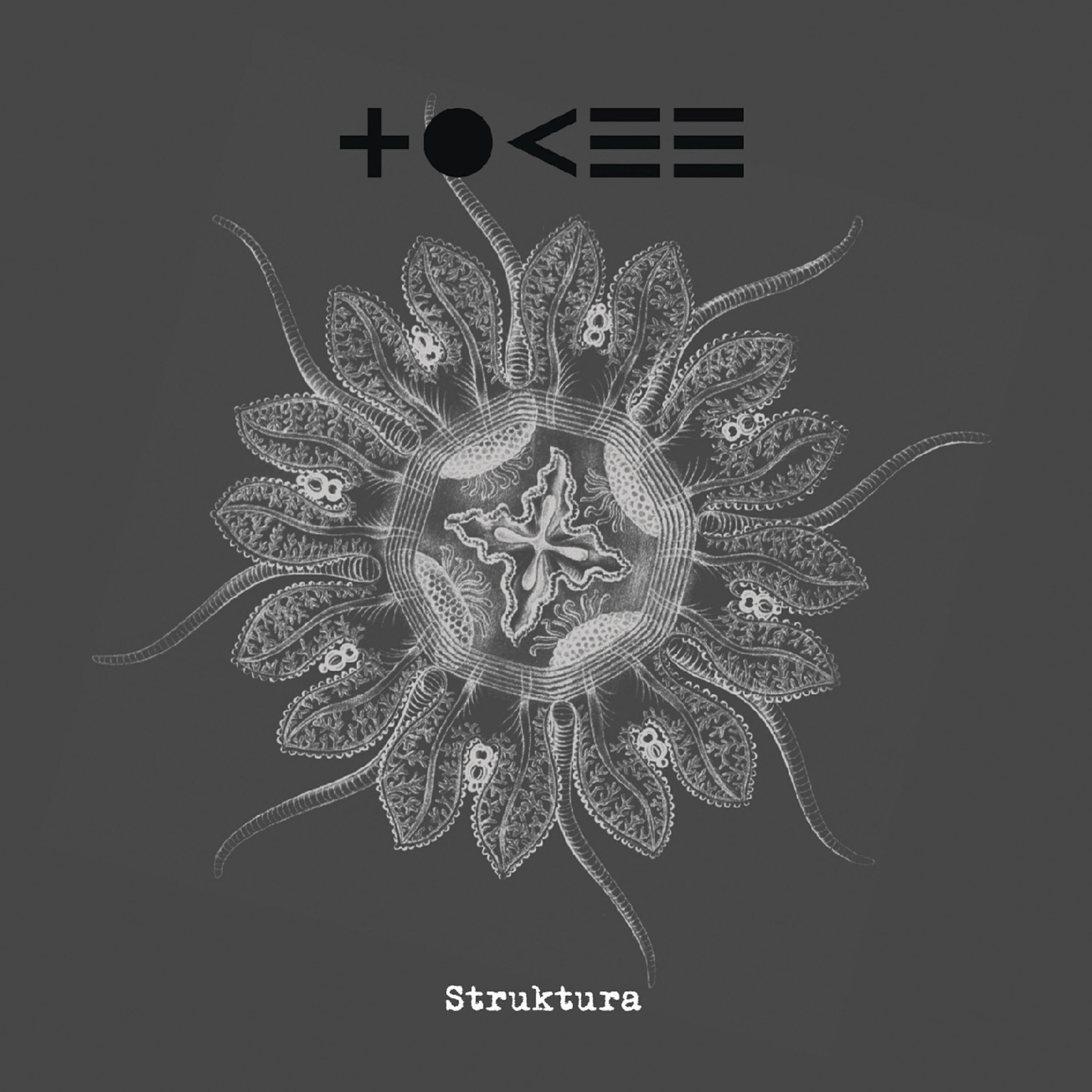 Релиз Struktura