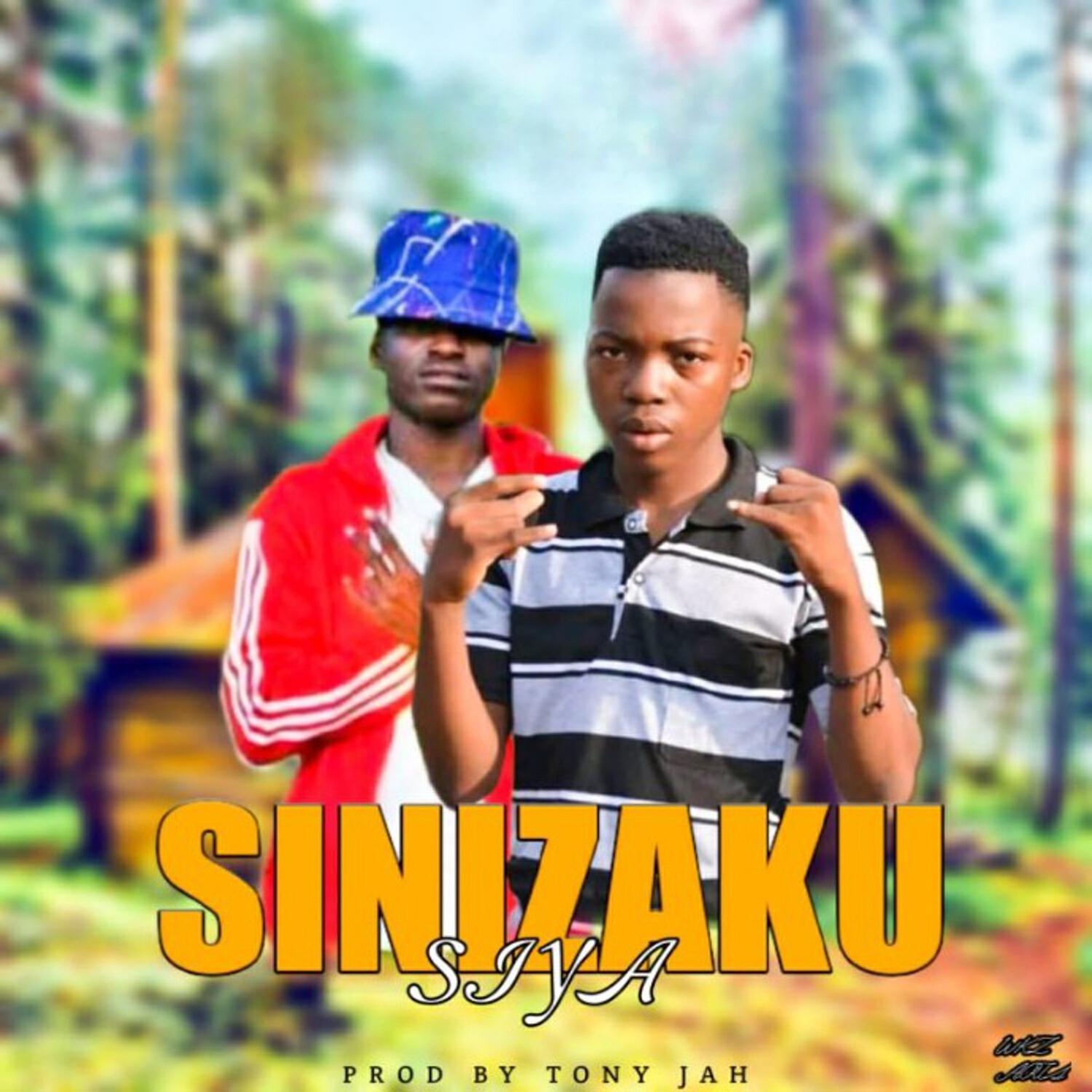 Релиз Sinizakusiya