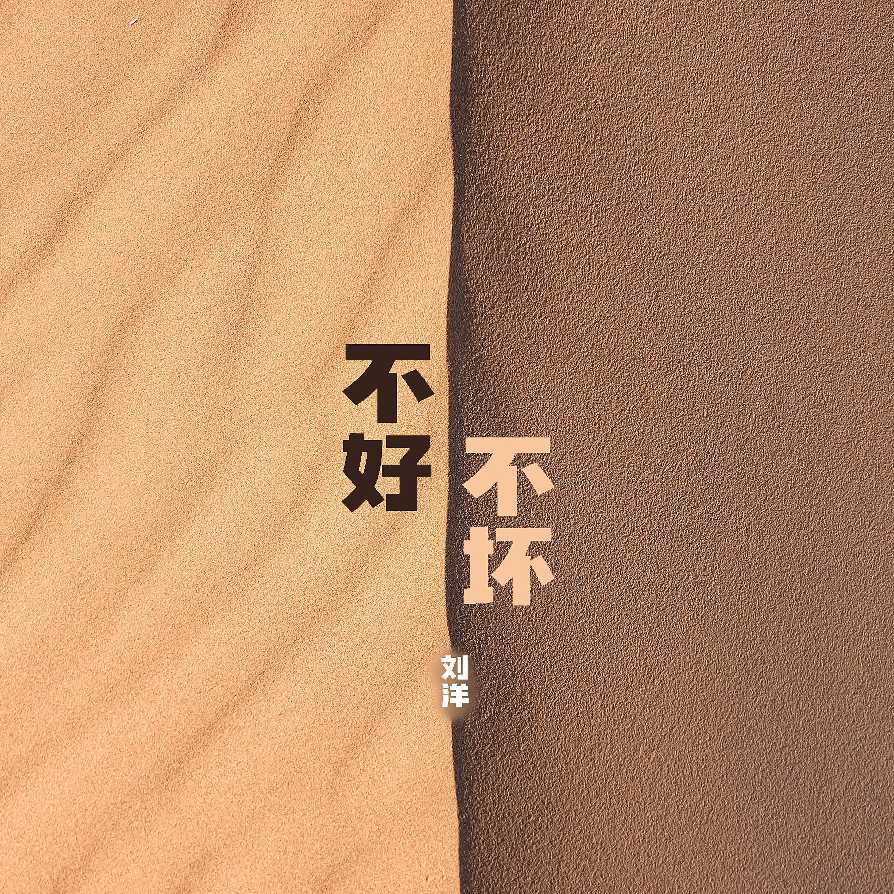 劉洋