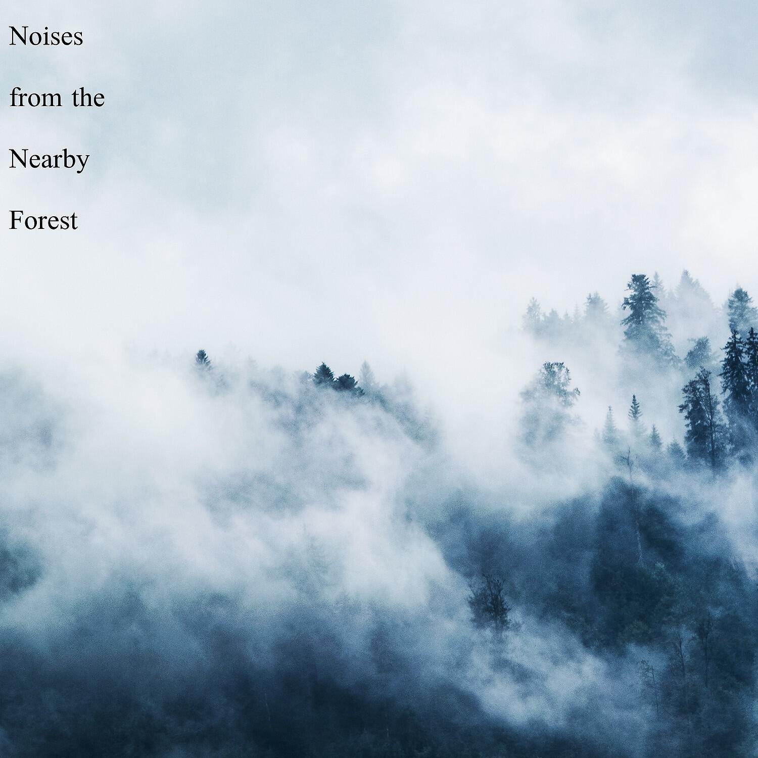 Релиз Noises from the Nearby Forest
