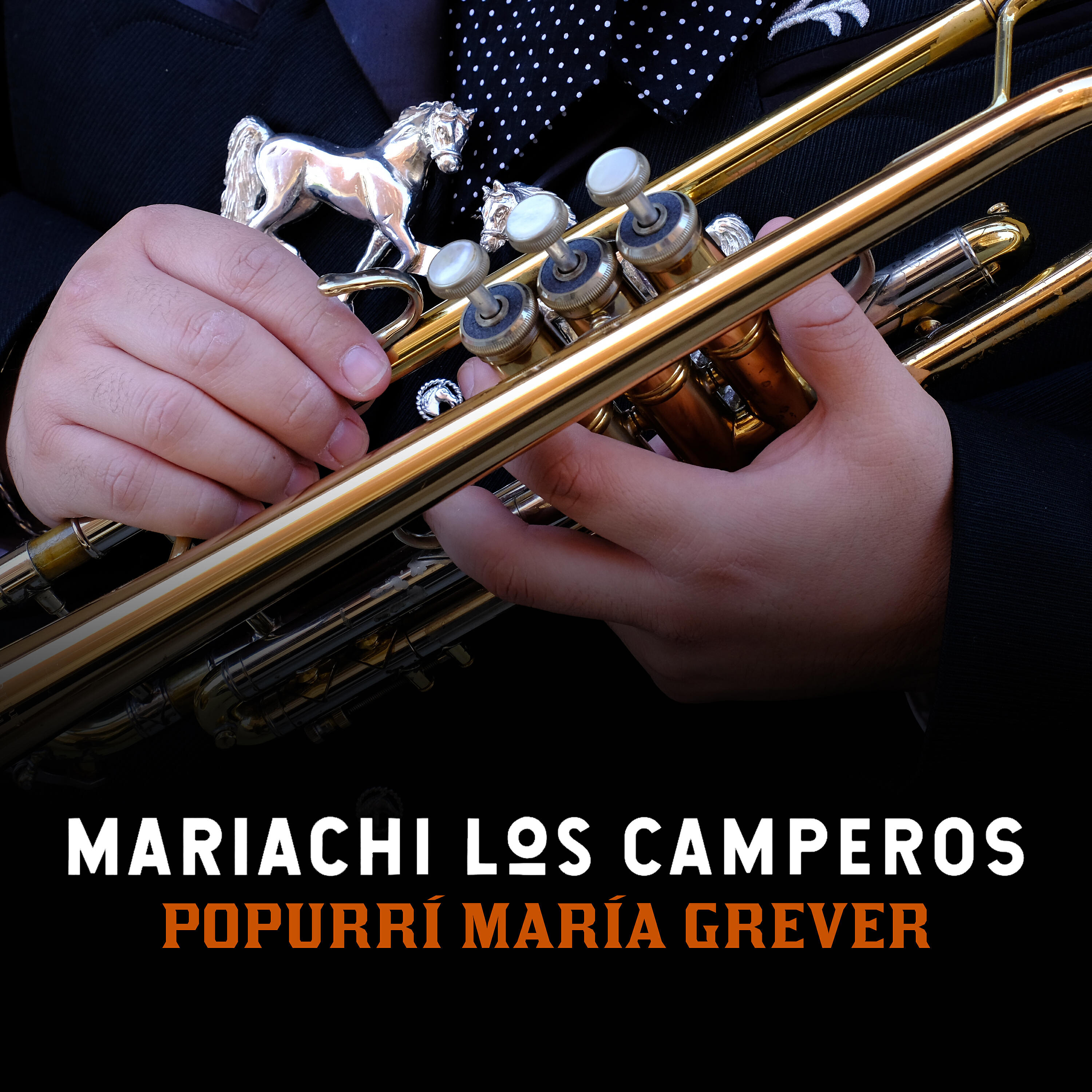 Релиз Popurrí María Grever (María Grever Medley)