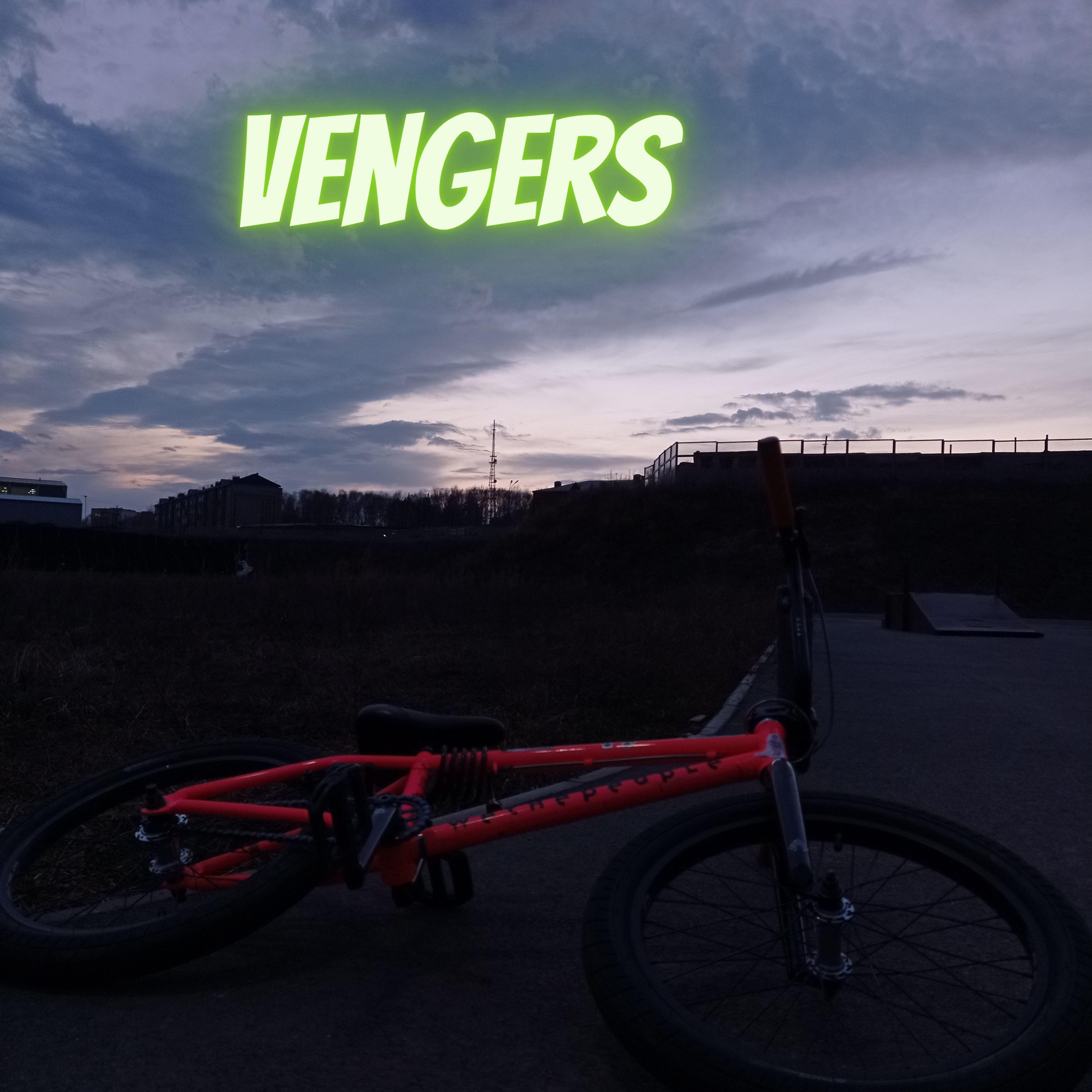 VengerS