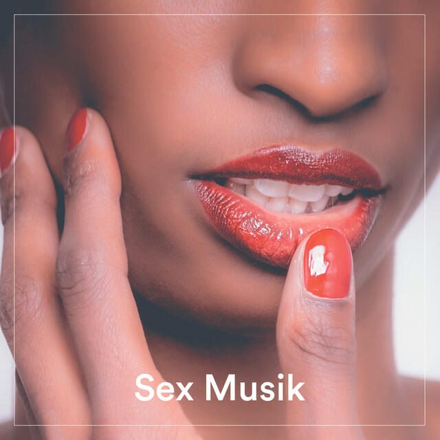 Постер альбома Sex Musik