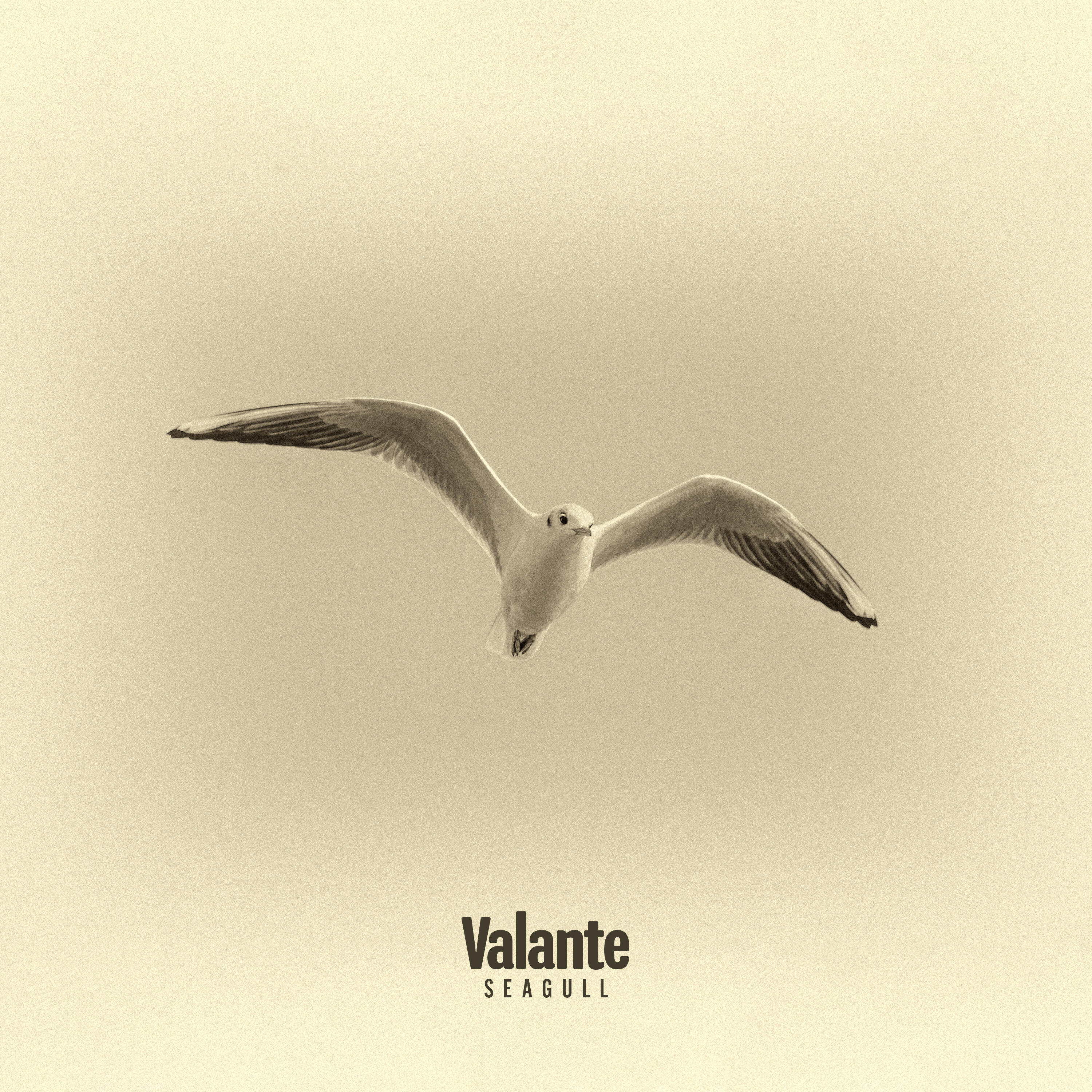 Релиз Seagull