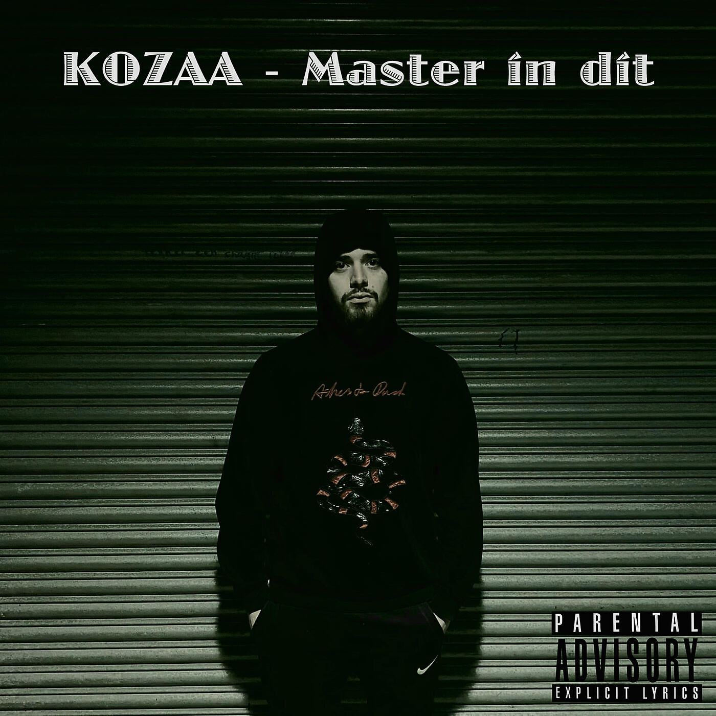 Релиз Master in Dit