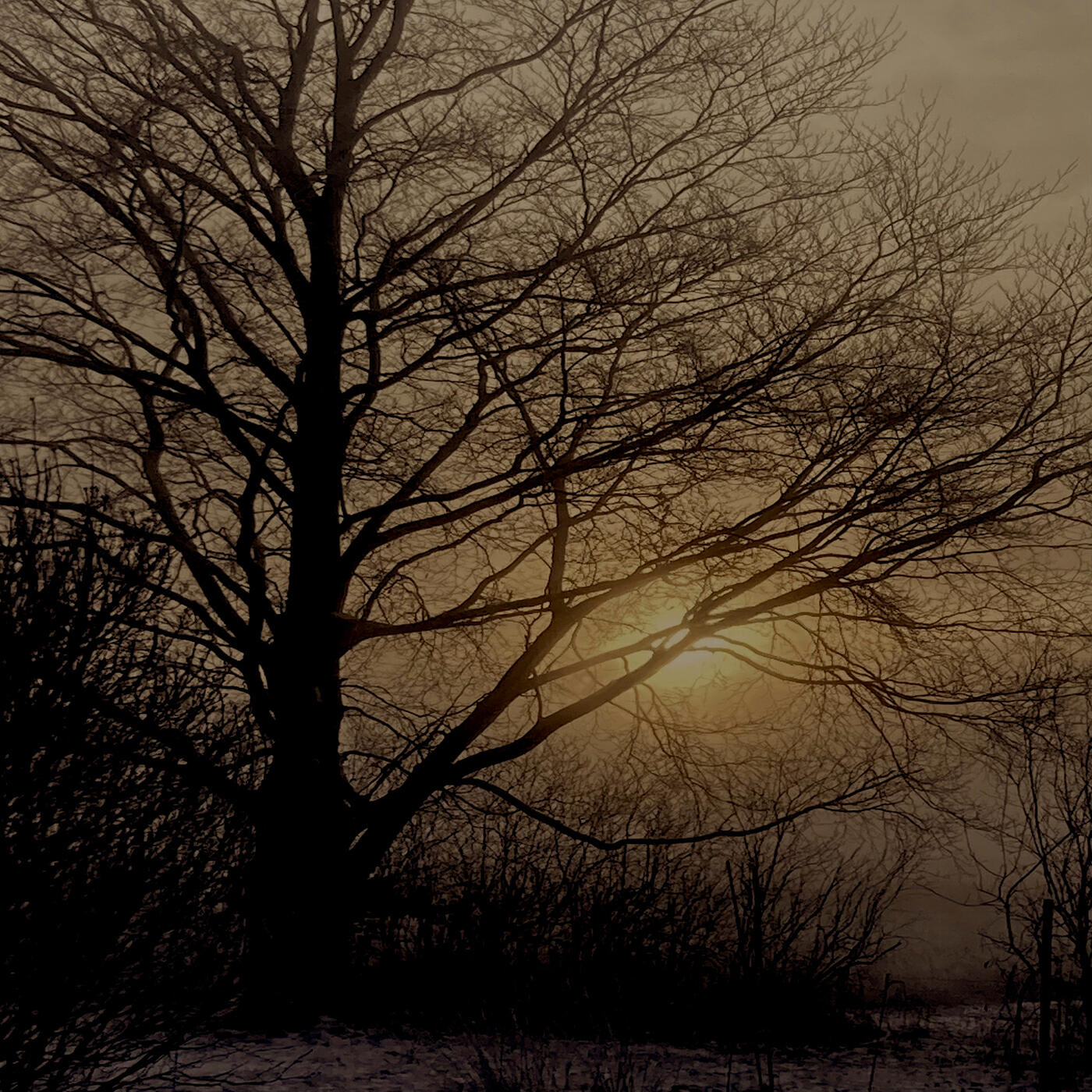 Релиз Morning Haze