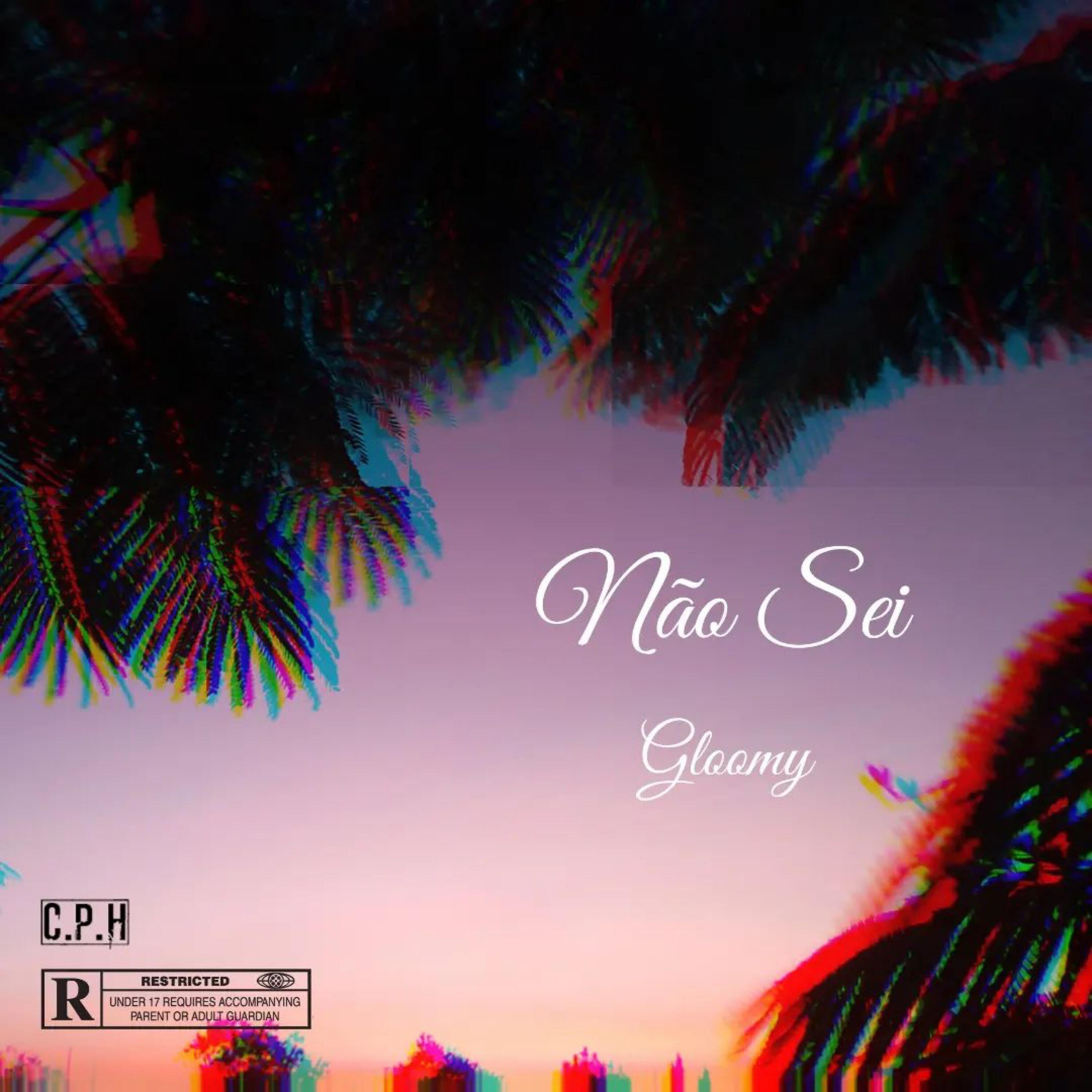 Релиз Não Sei