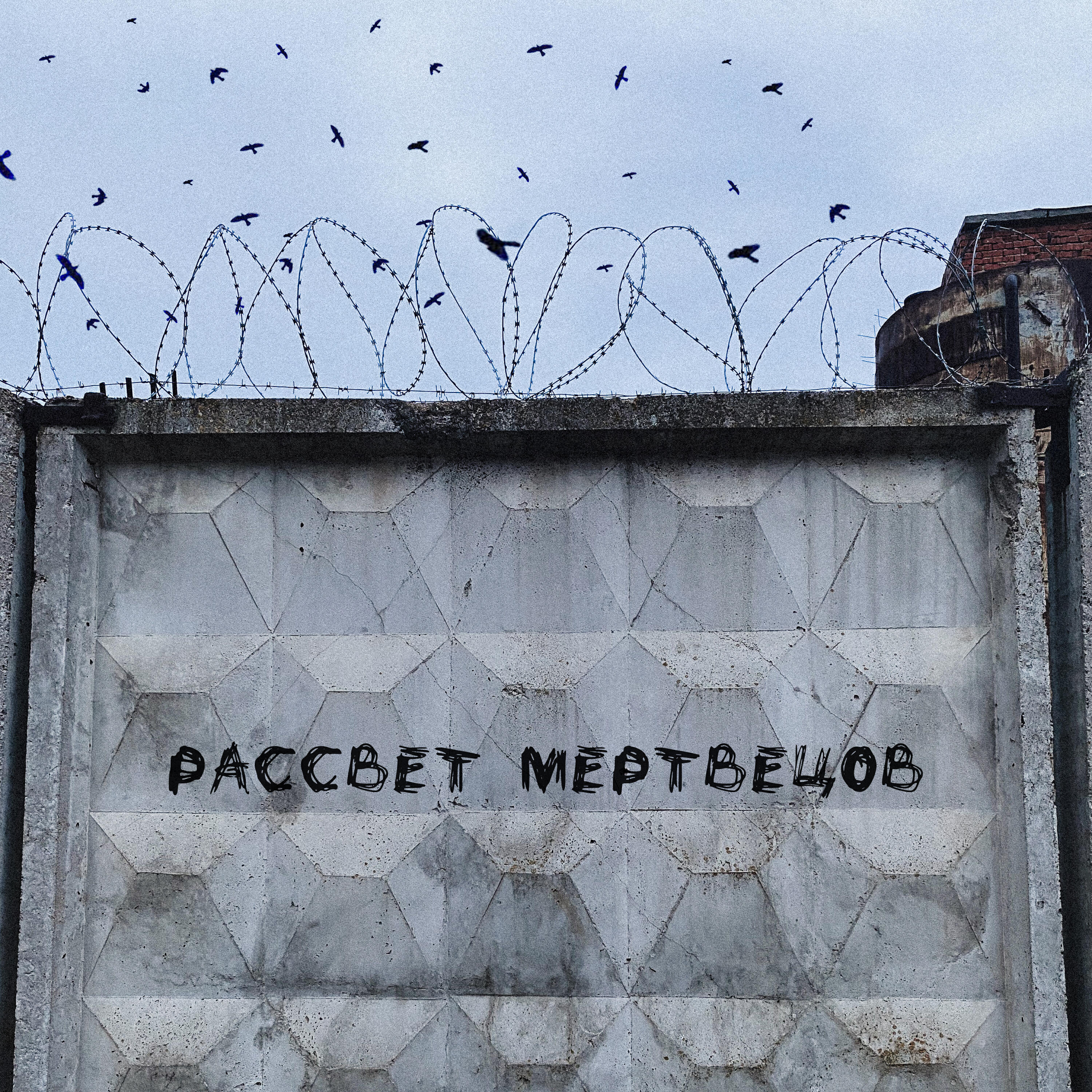 Релиз Рассвет мертвецов