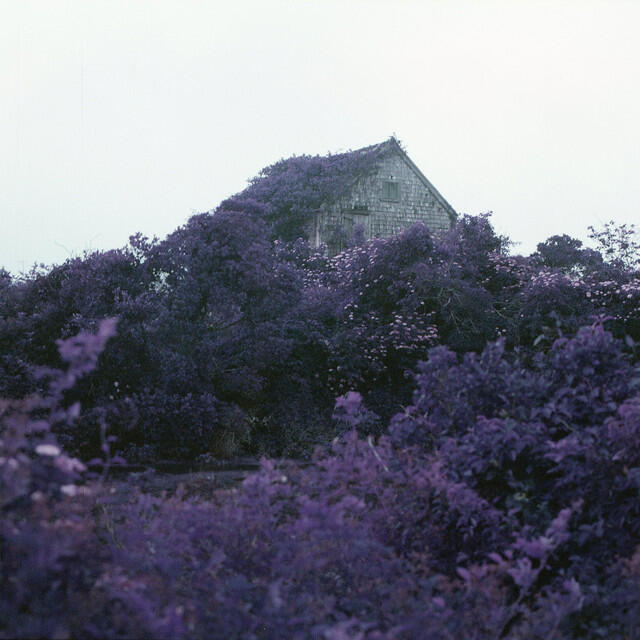 Релиз Gimme What I Need (Blockhead Remix)